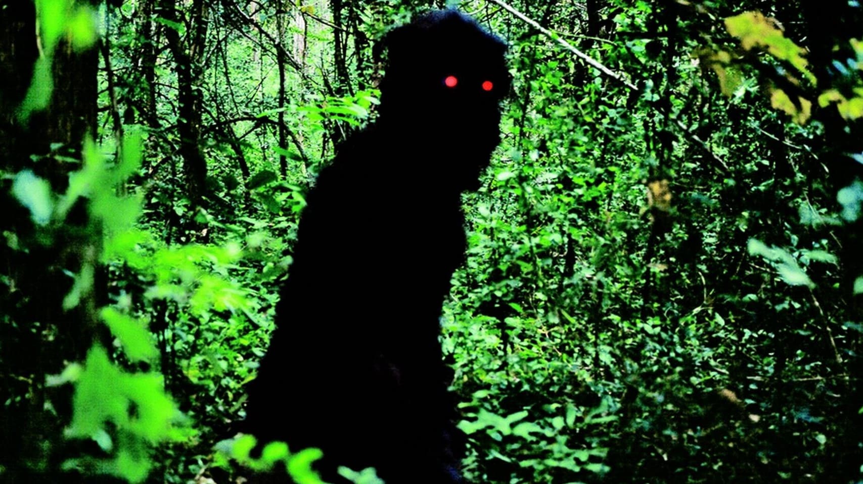 Uncle Boonmee Who Can Recall His Past Lives Poster