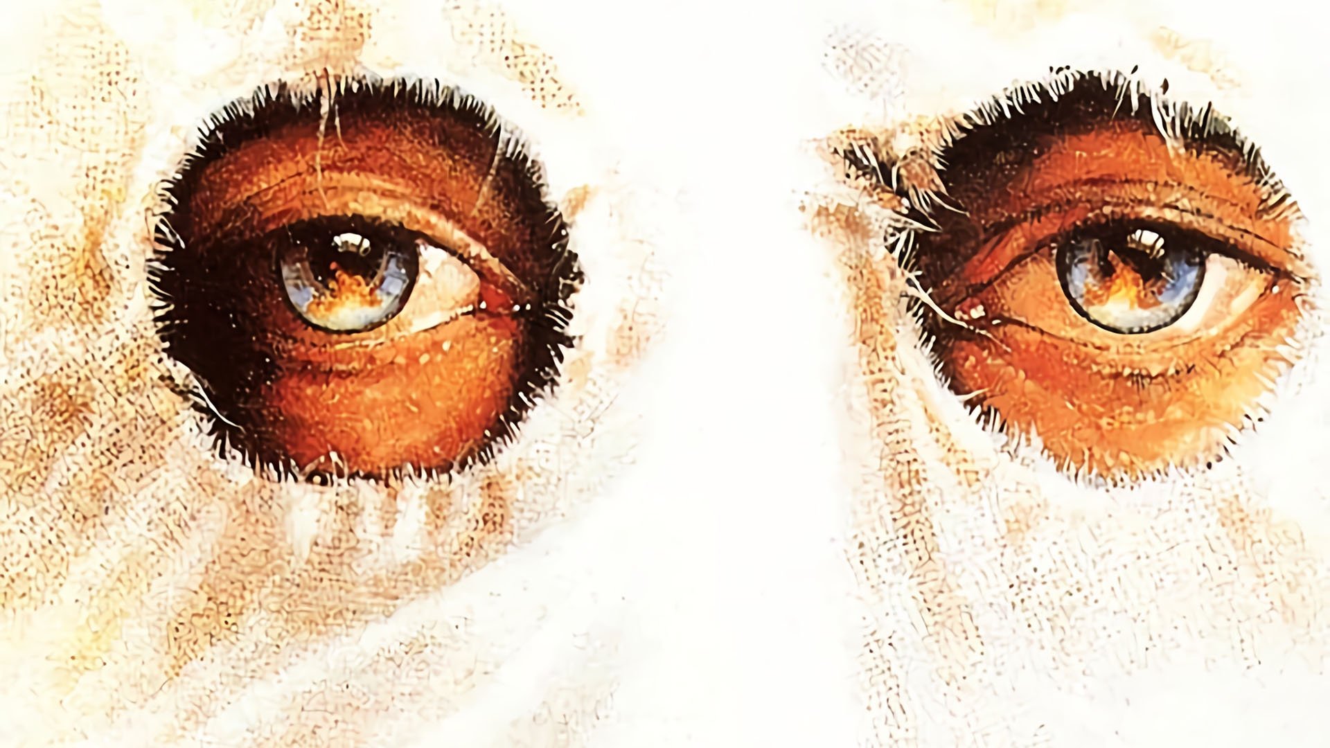 Mississippi Burning Poster