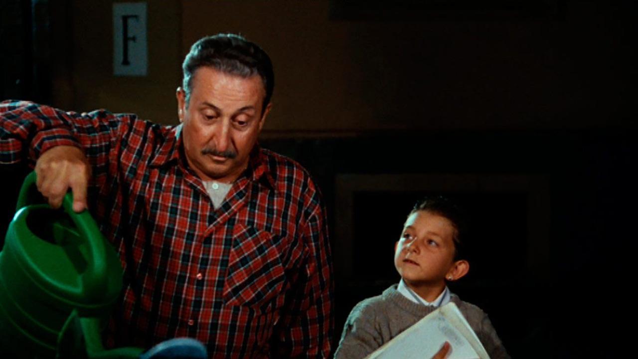 Ci hai rotto papà Poster