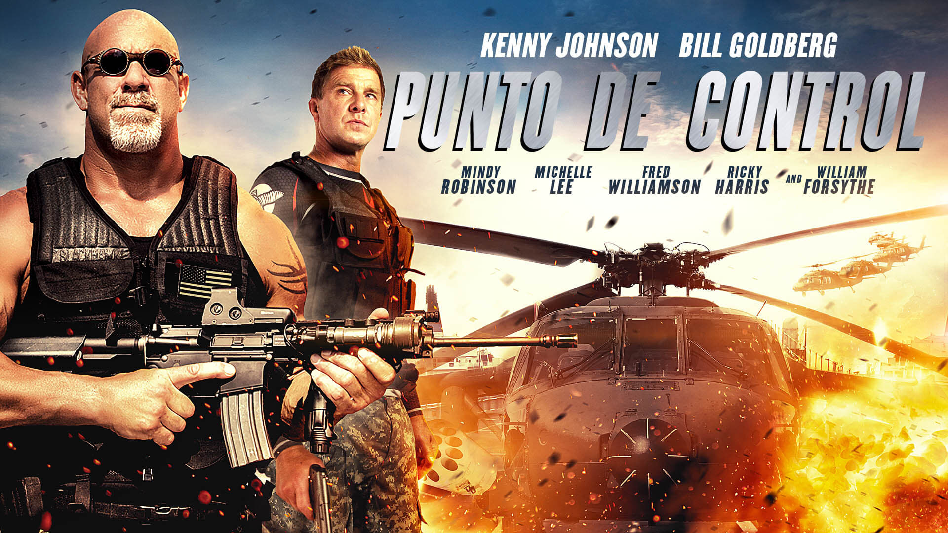Check Point Poster