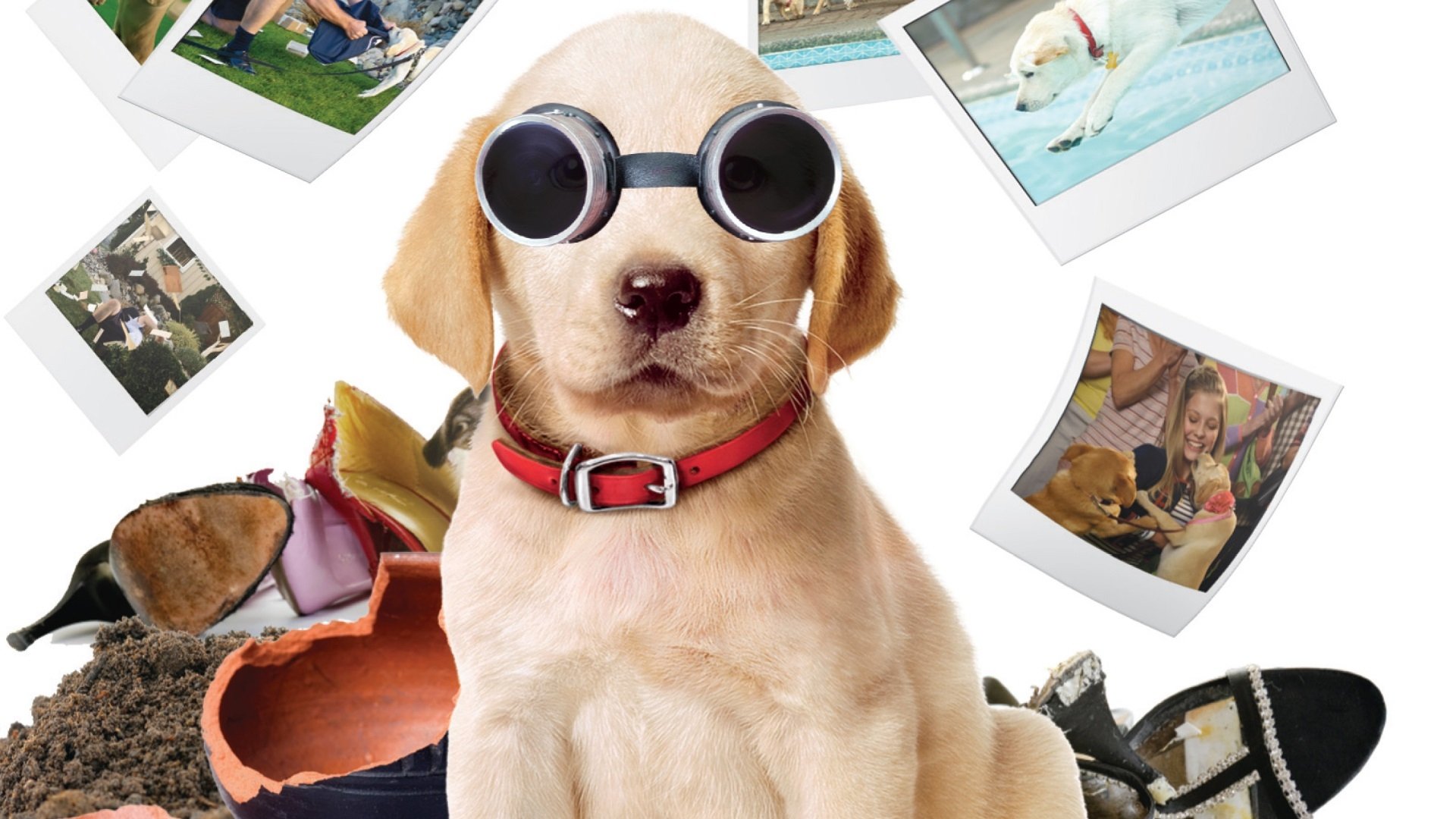 Marley & Me: The Puppy Years Poster