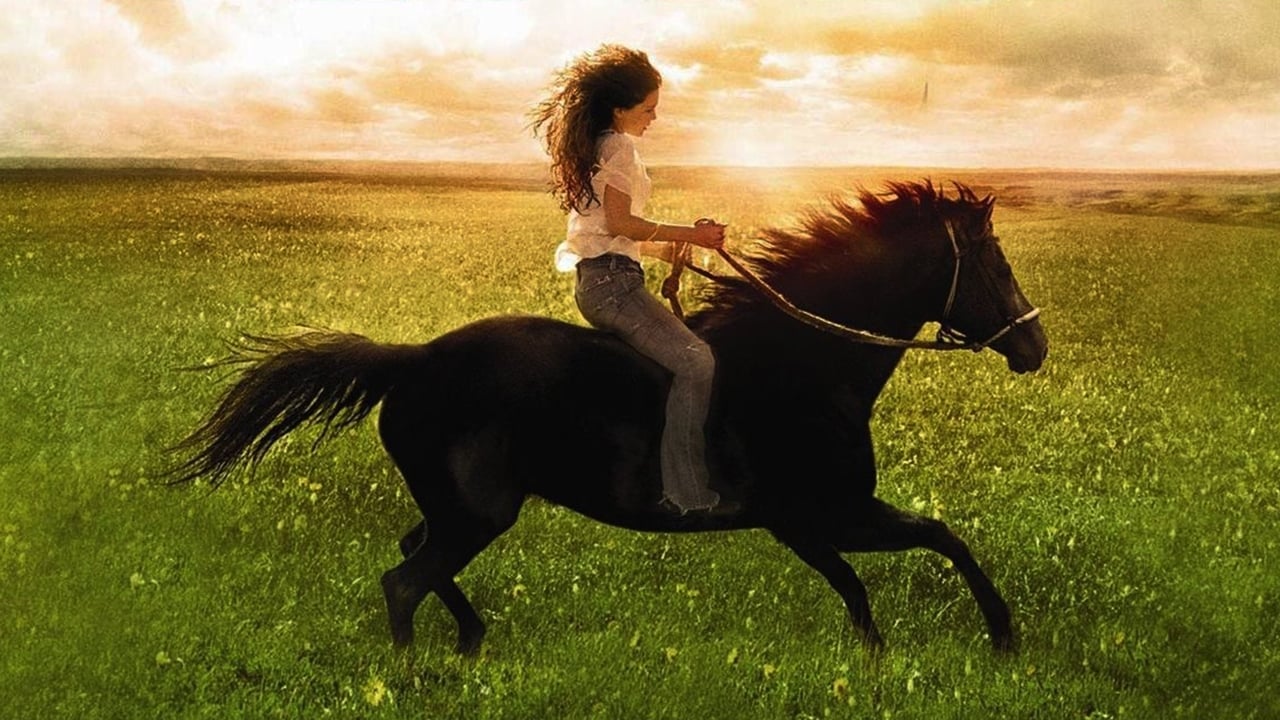 Flicka Poster