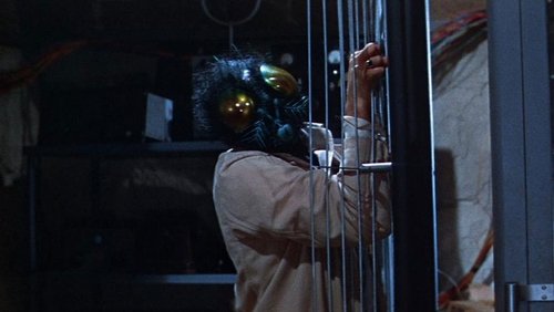 The Fly Poster