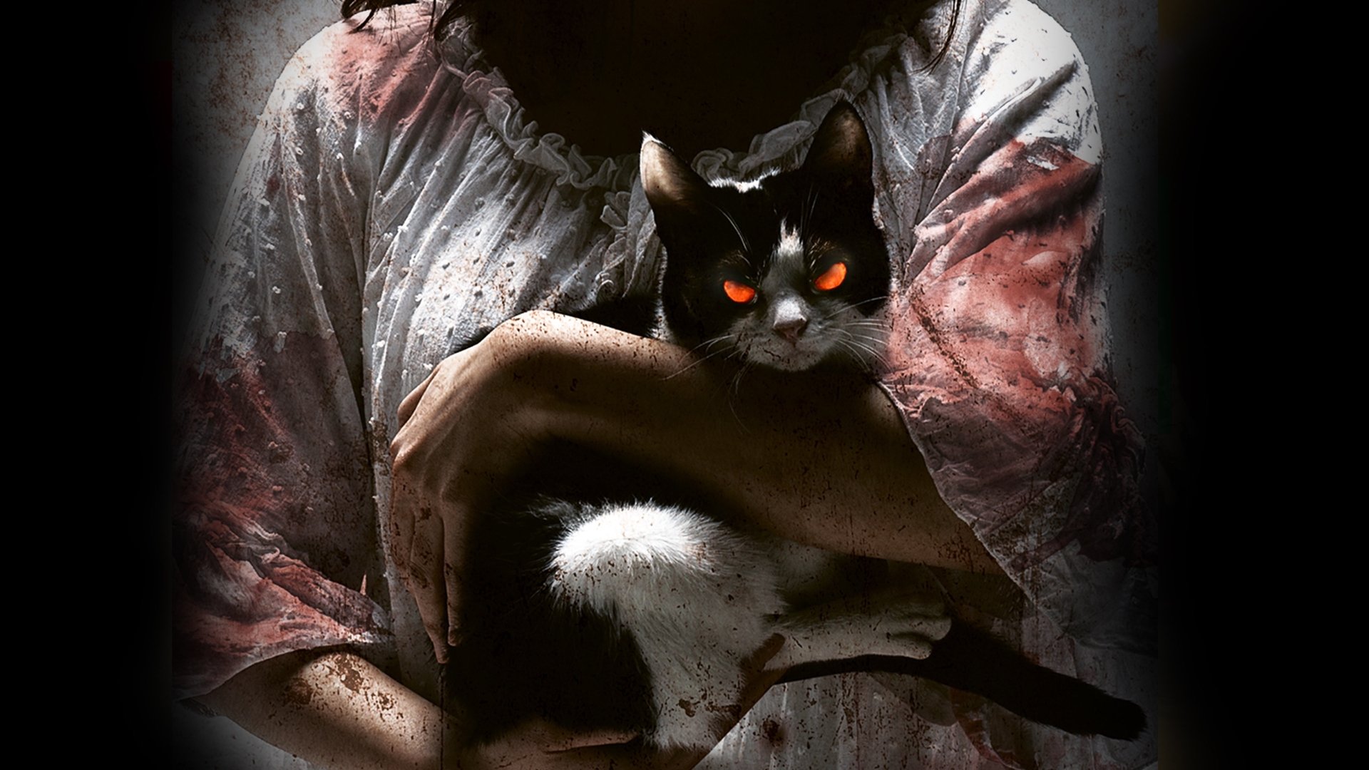 The Cat Poster