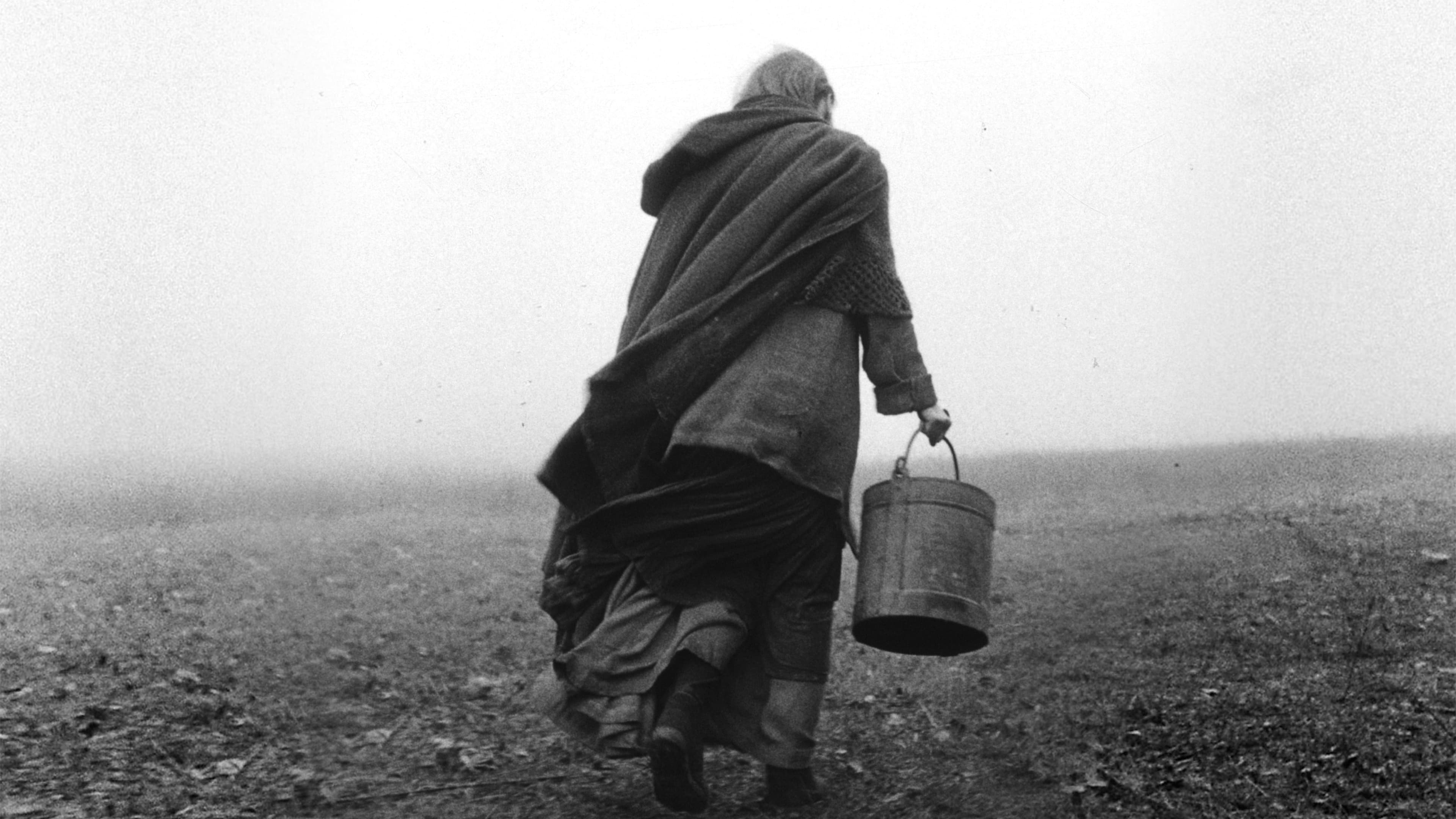 The Turin Horse Poster