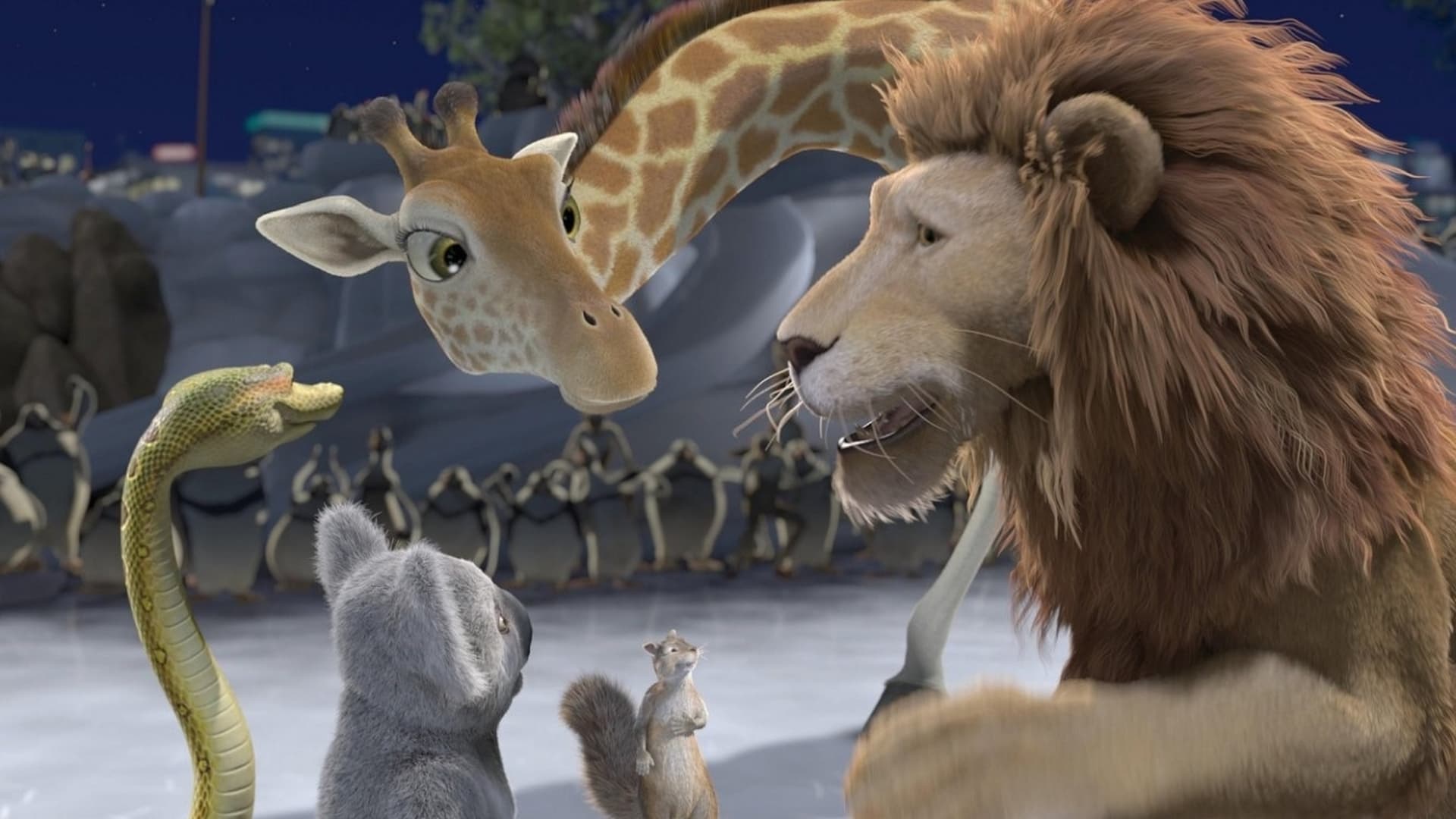 The Wild Poster