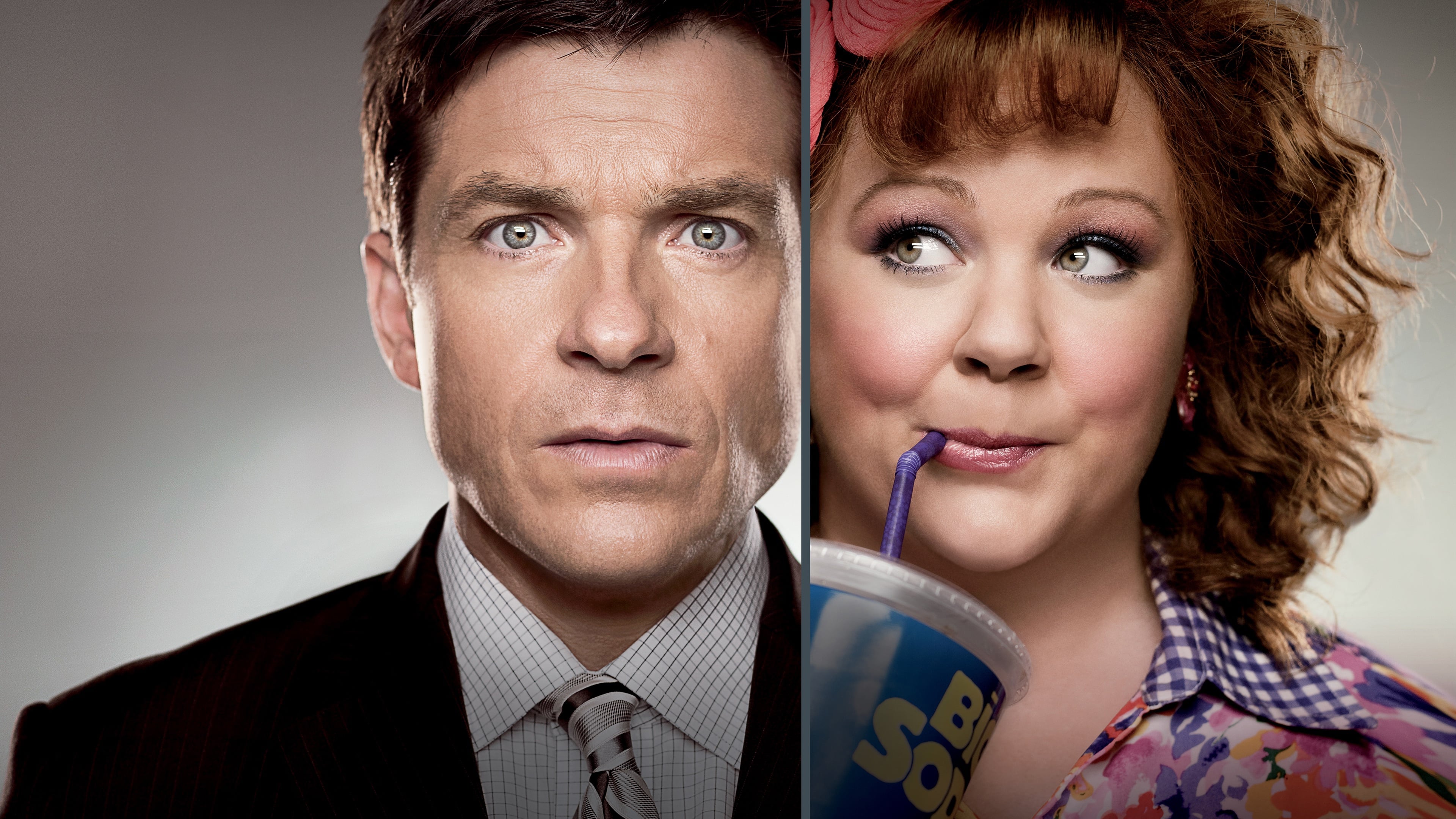 Identity Thief Poster