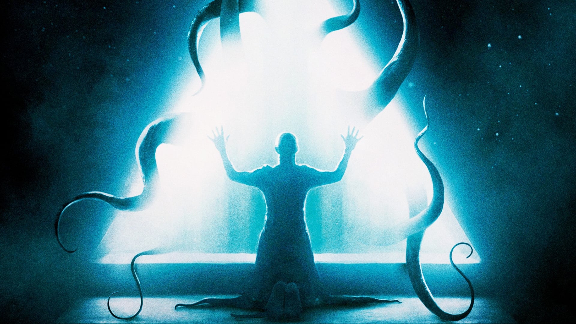 The Void Poster