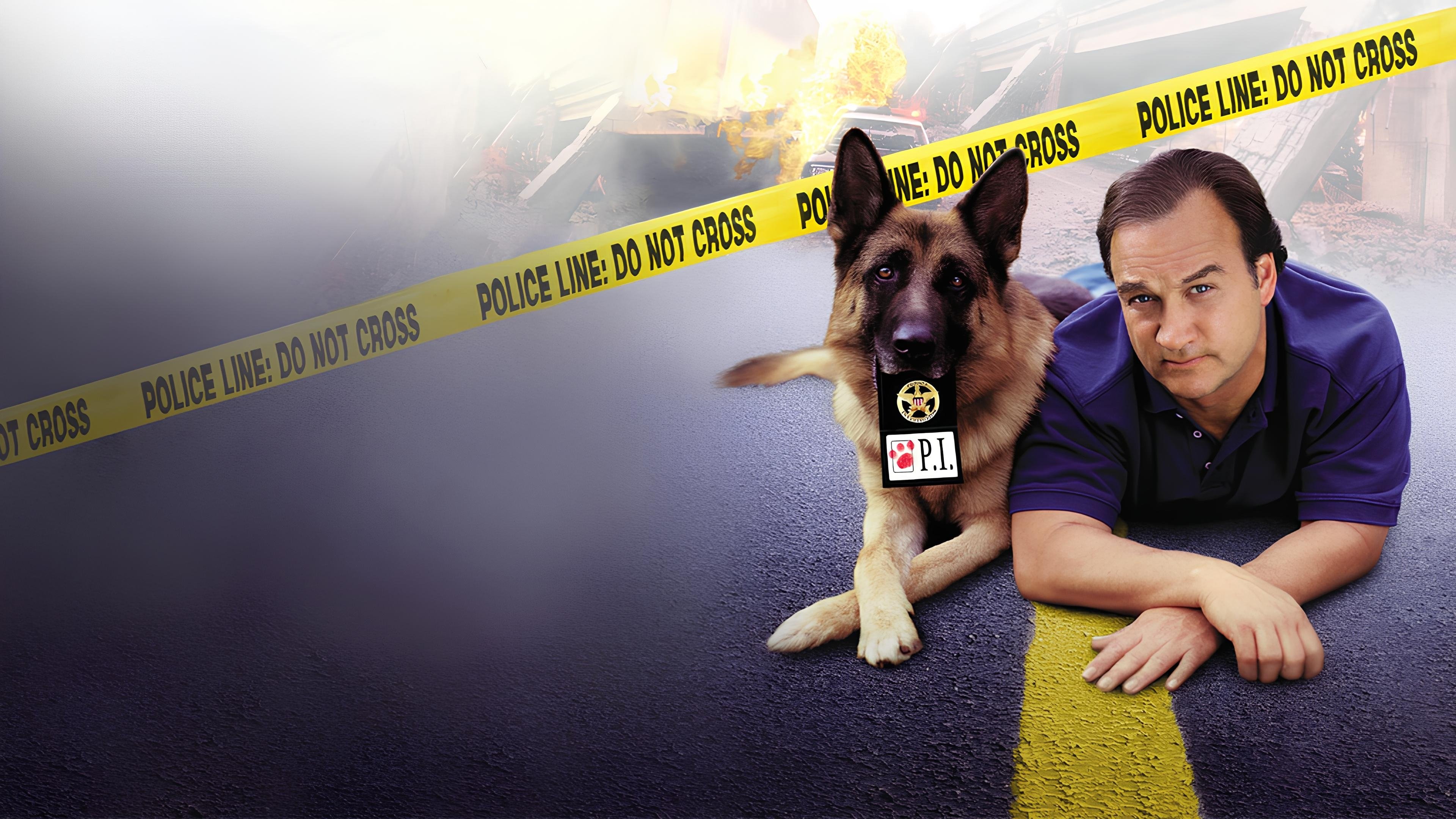K-9: P.I. Poster