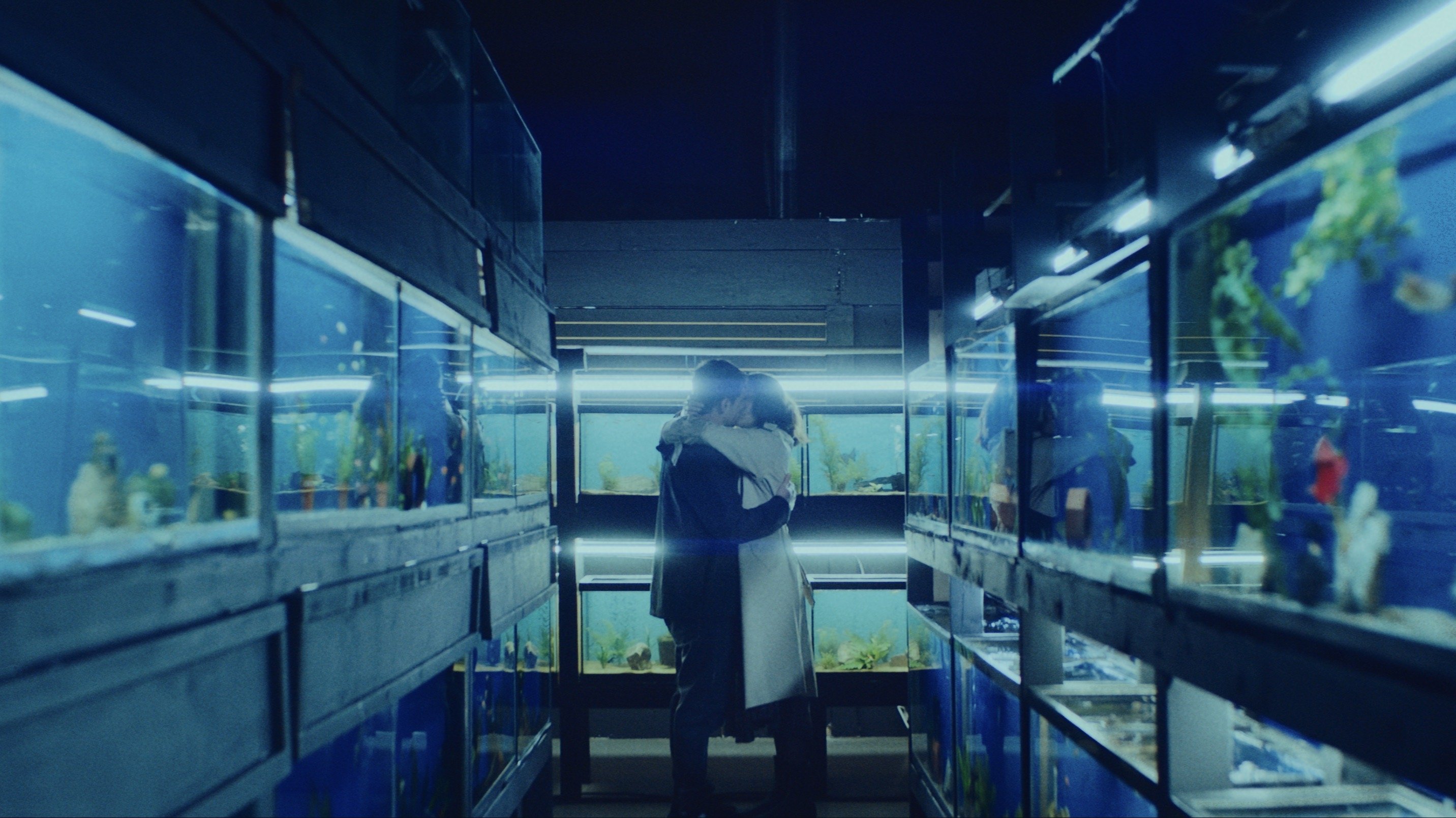 Little Fish Poster