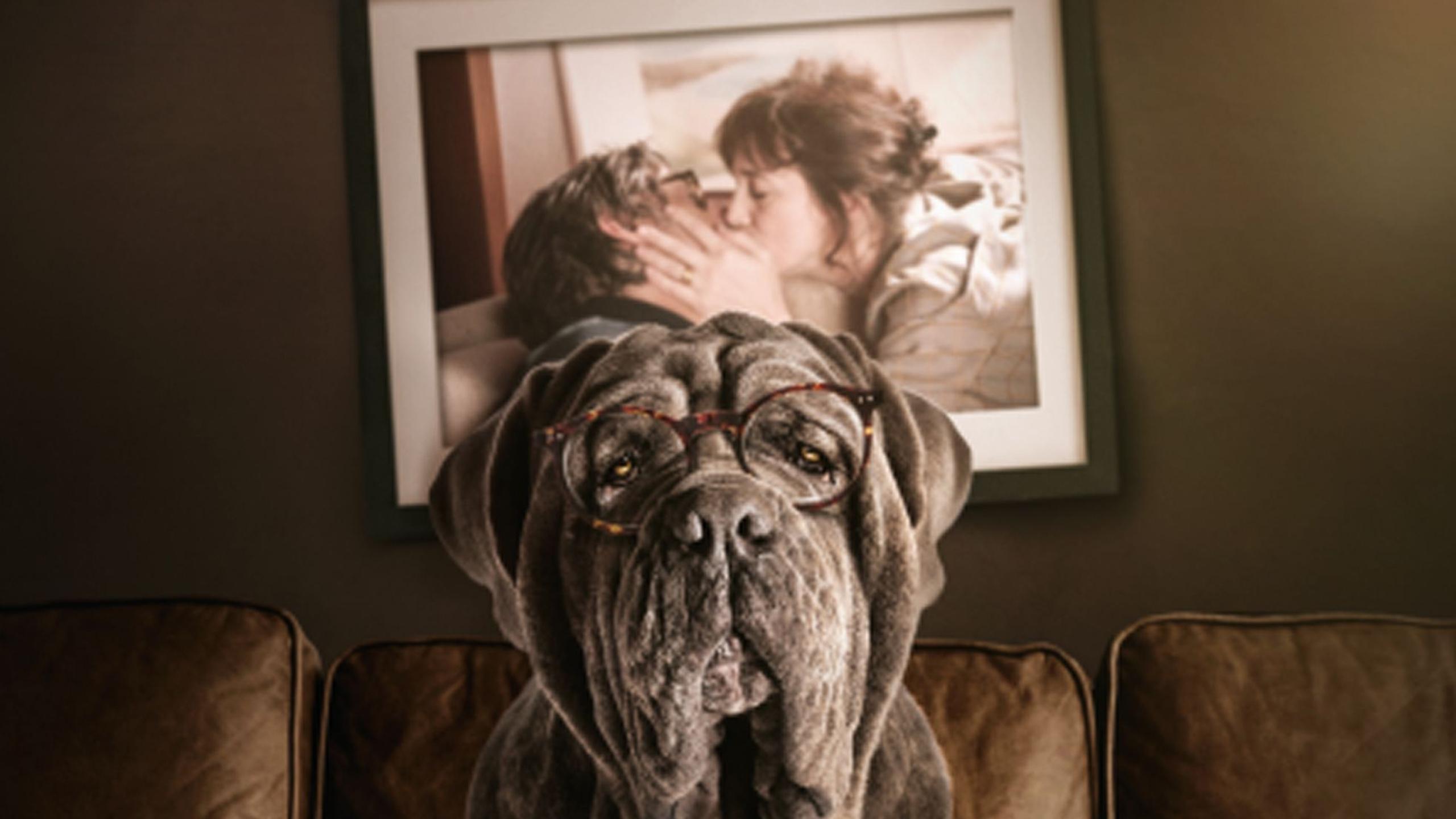 My Dog Stupid Poster