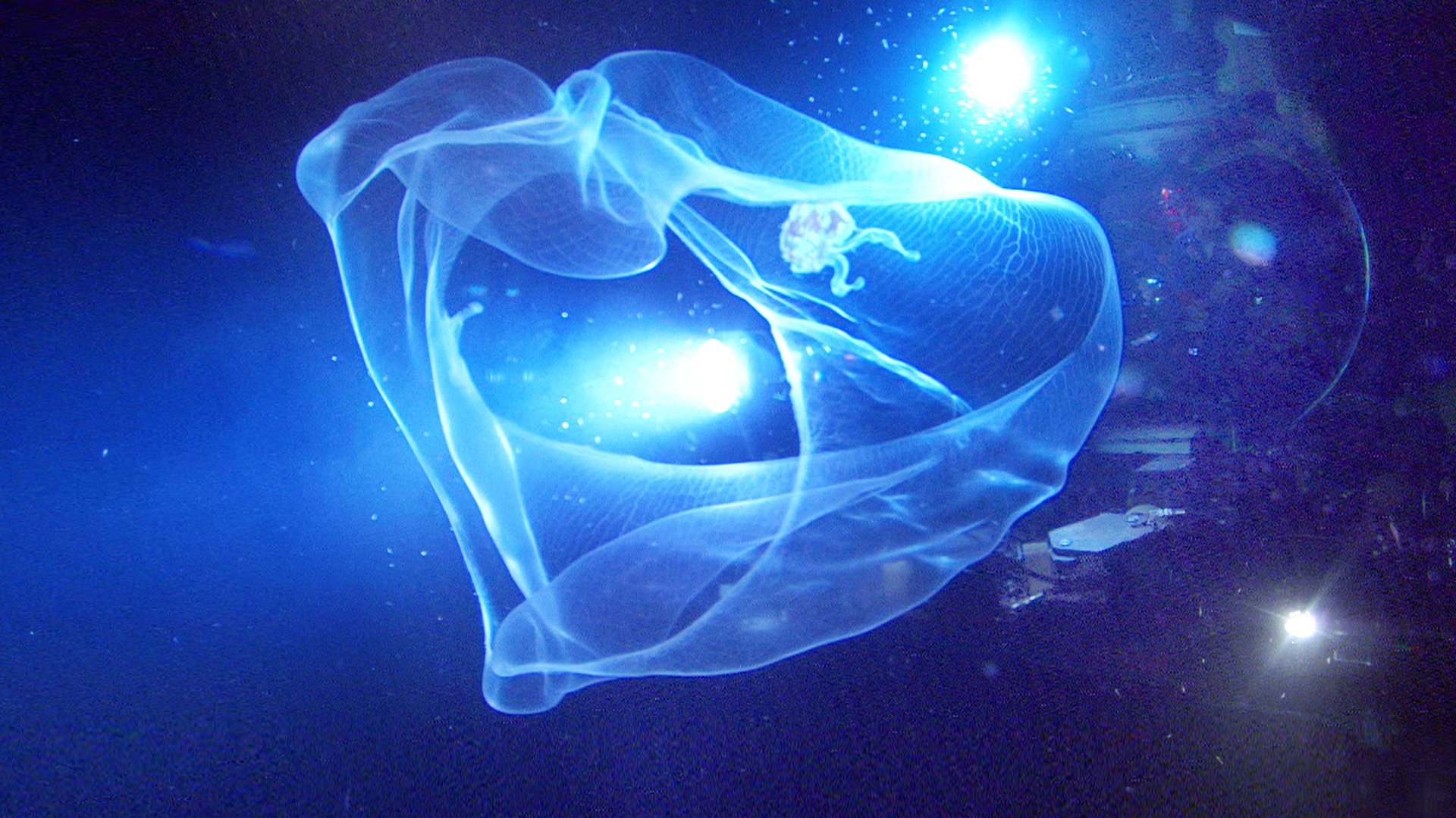 Aliens of the Deep Poster