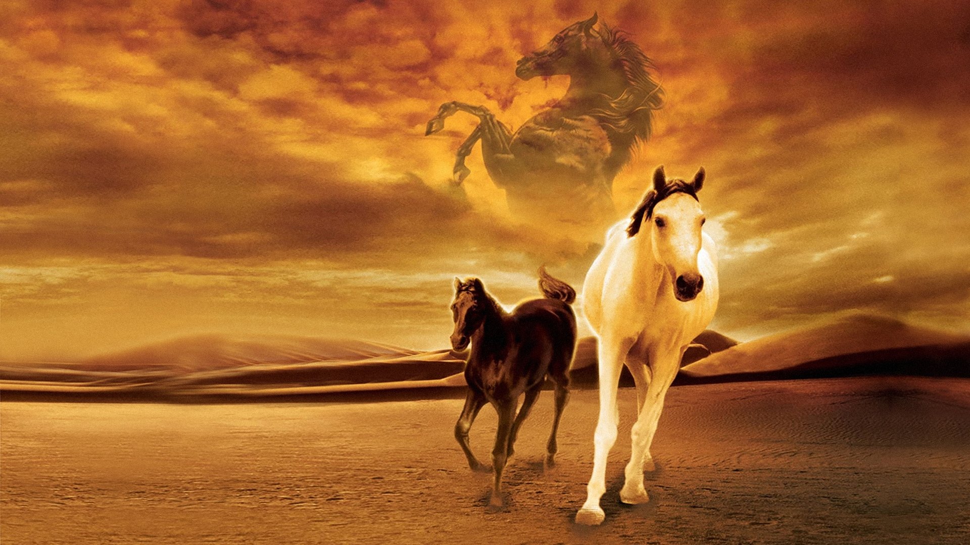 The Young Black Stallion Poster