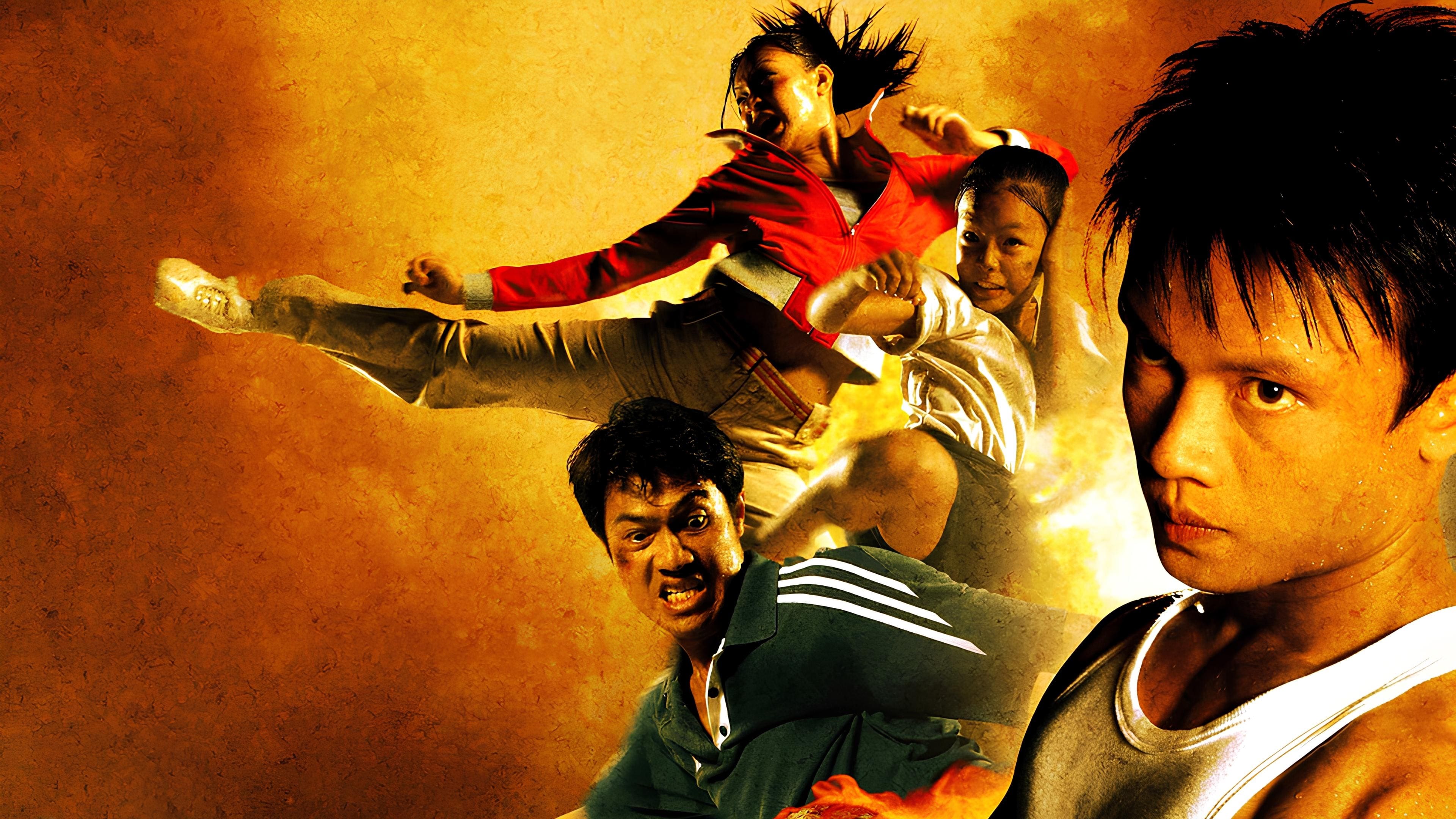 Born to Fight Poster