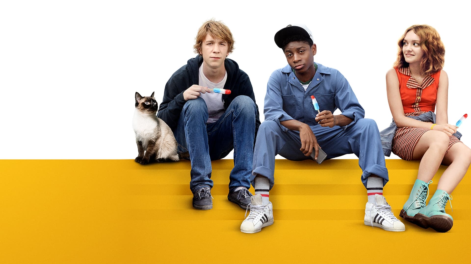 Me and Earl and the Dying Girl Poster