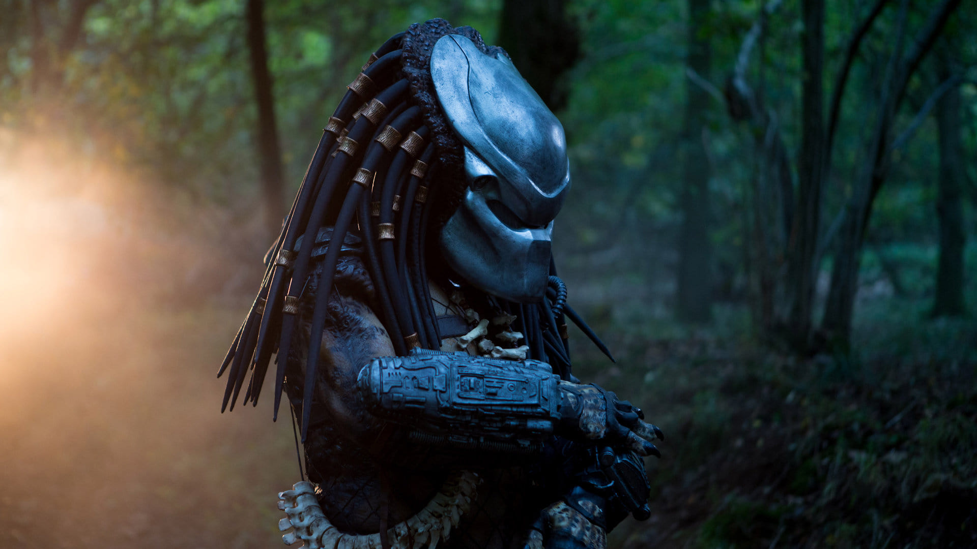 Predator Dark Ages Poster