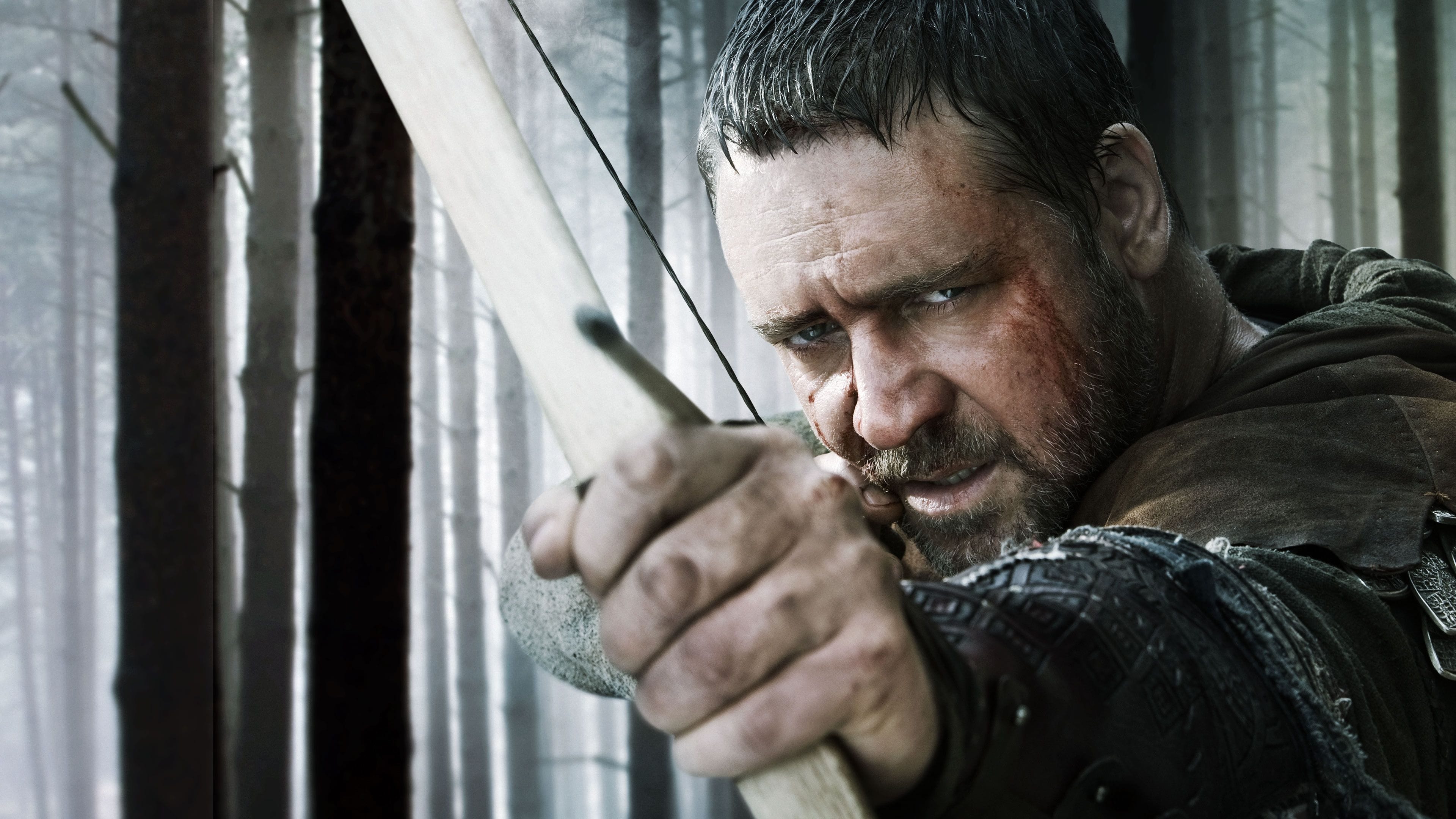 Robin Hood Poster