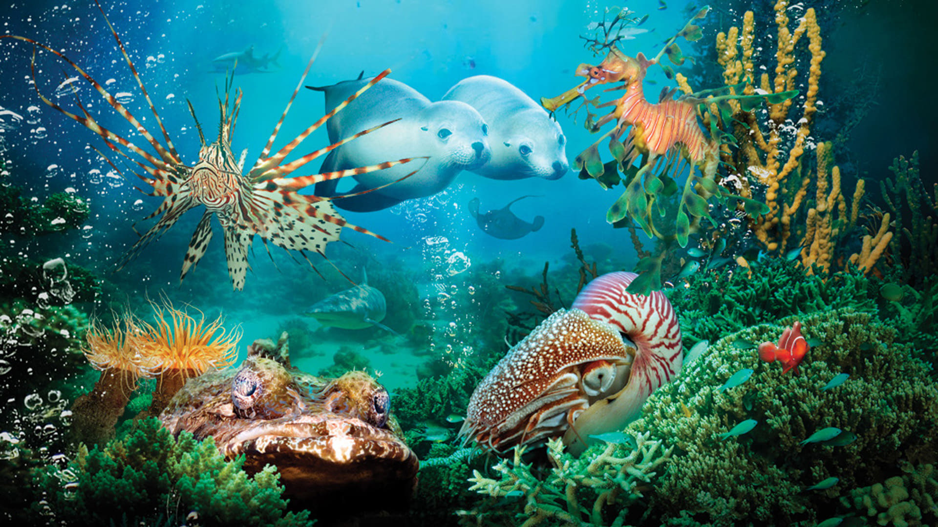 Under the Sea 3D Poster