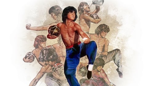 Drunken Master Poster