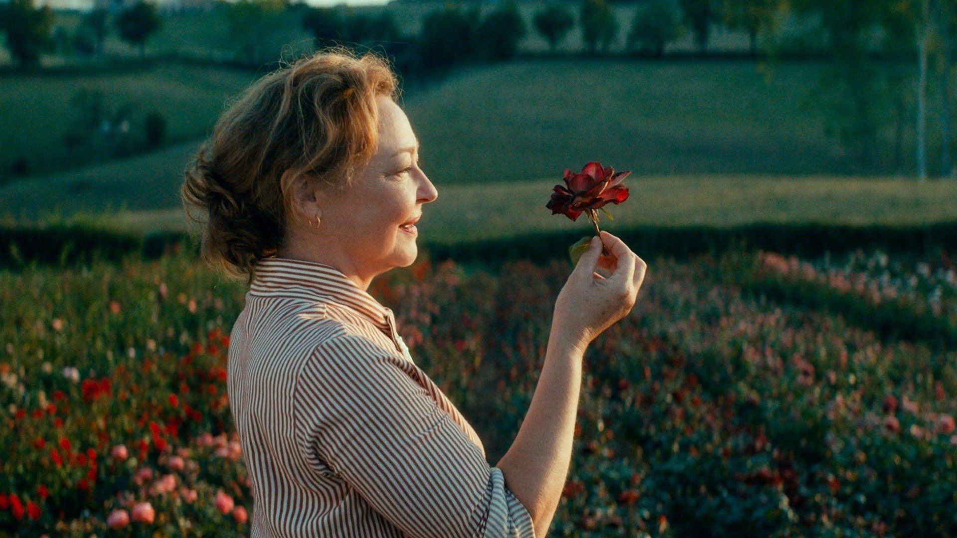 The Rose Maker Poster