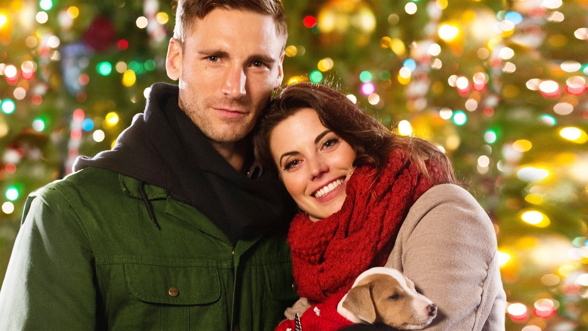 Debbie Macomber's Dashing Through the Snow Poster