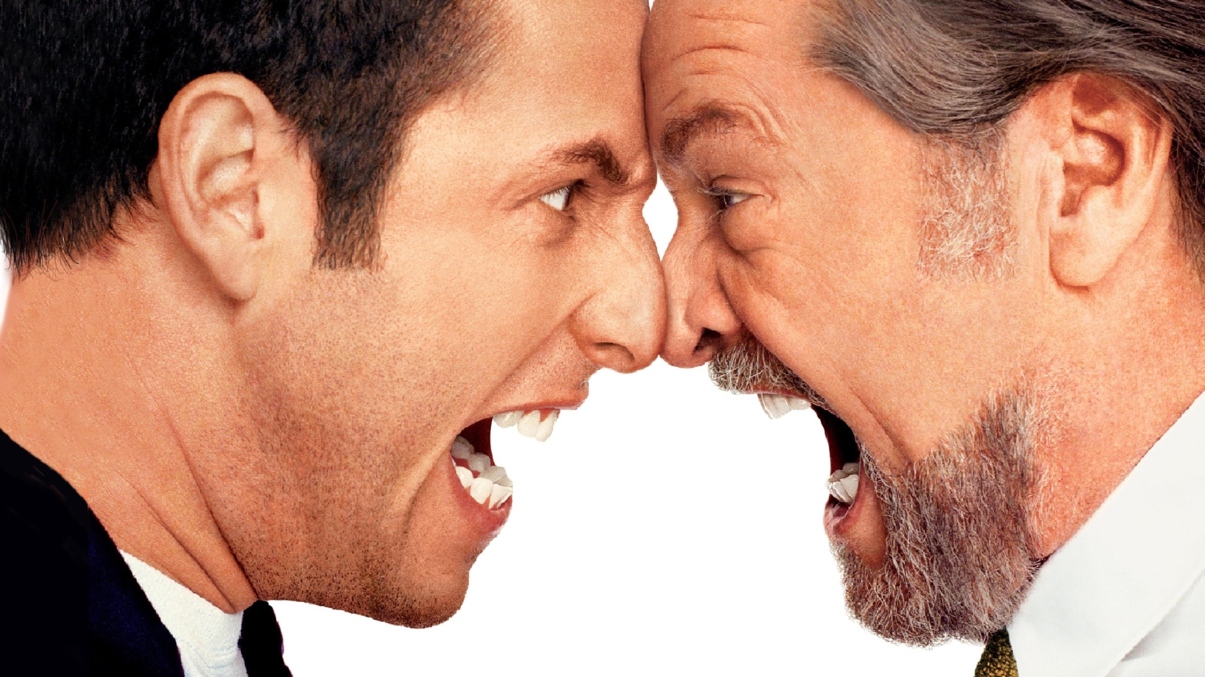Anger Management Poster