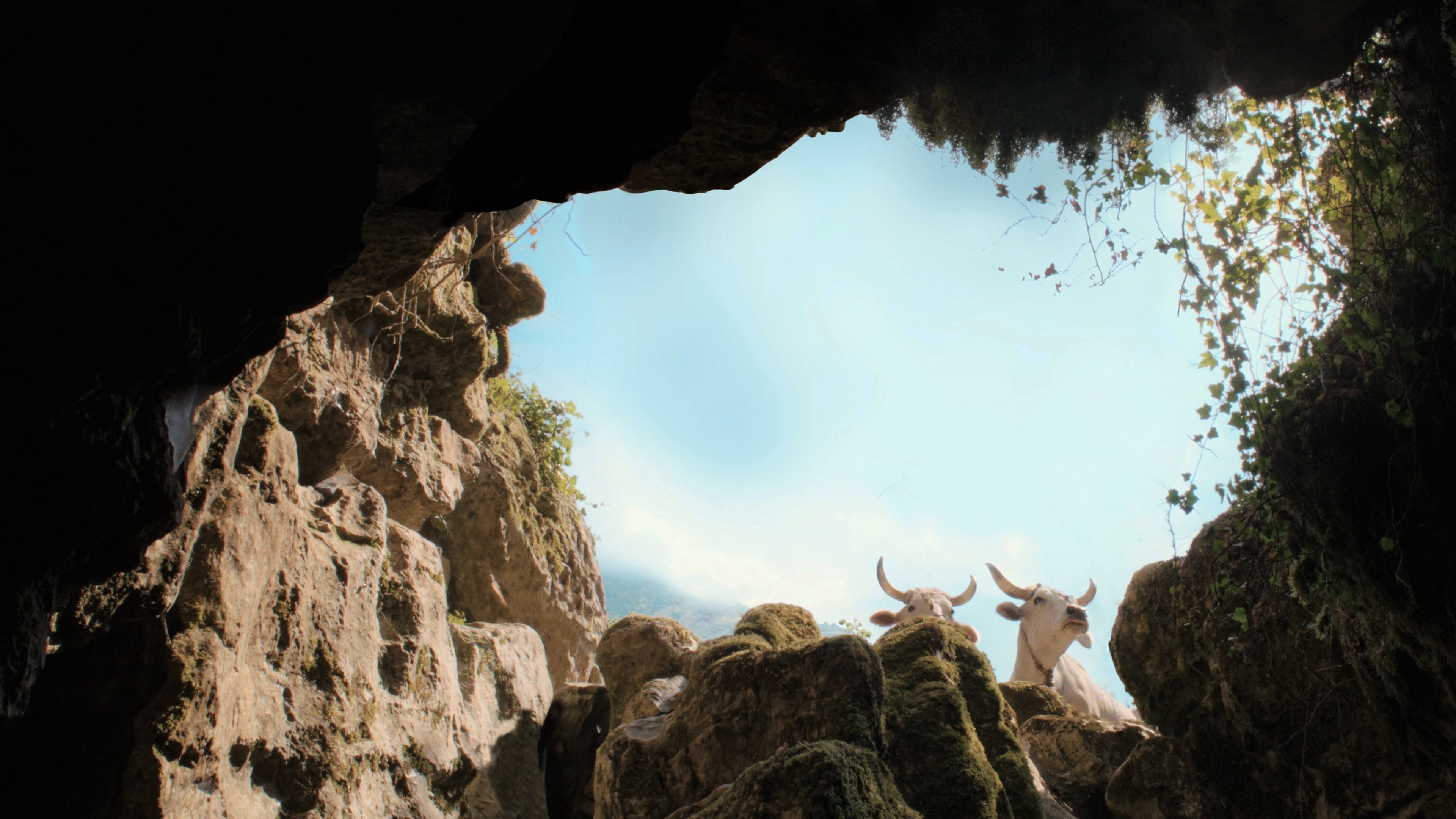 The Hole Poster