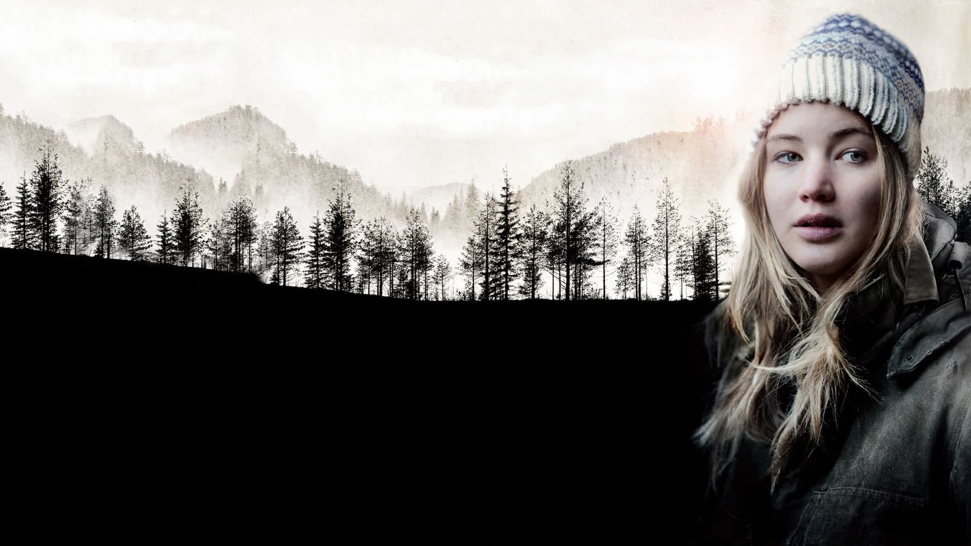 Winter's Bone Poster