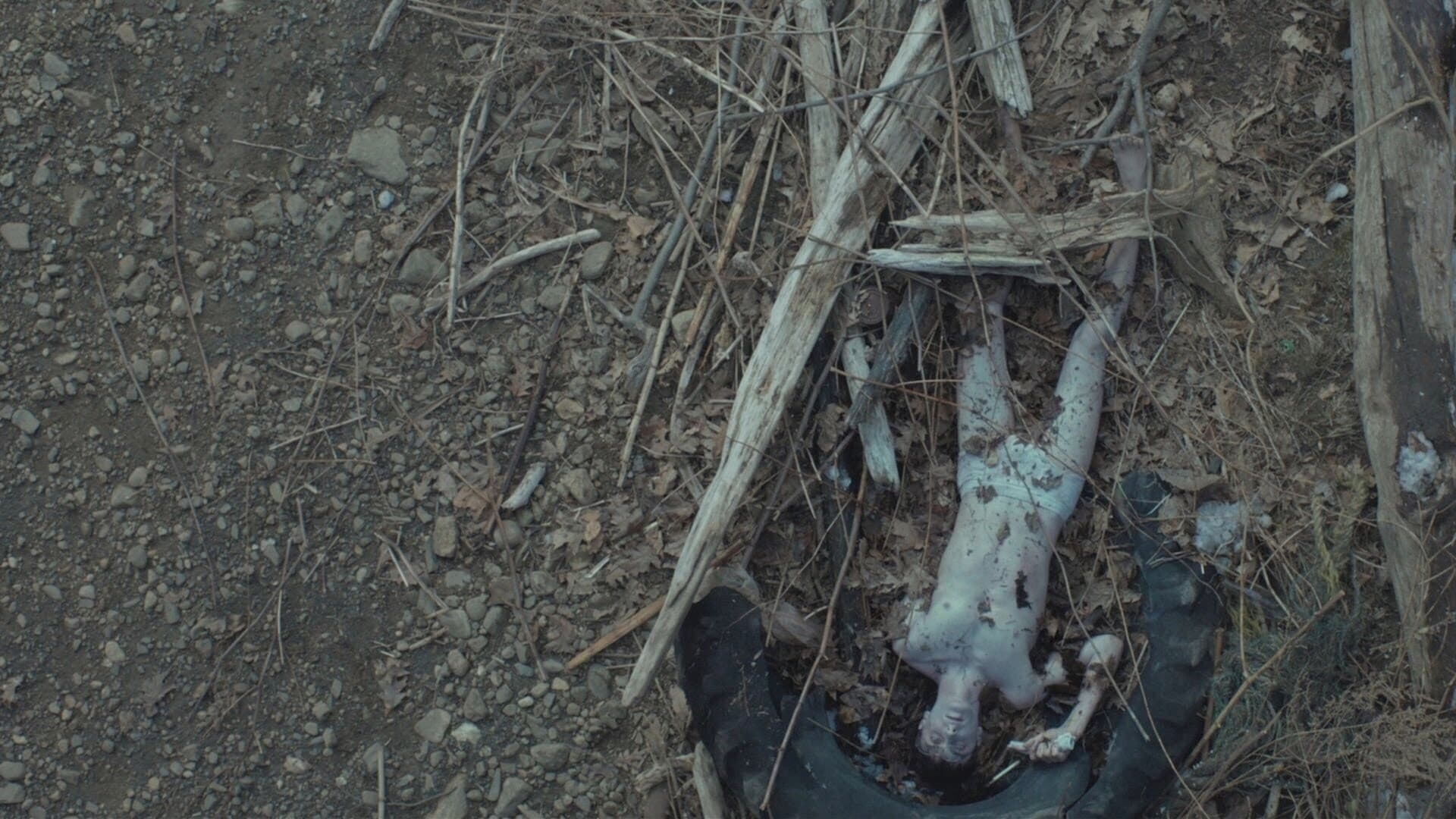 Jamie Marks Is Dead Poster