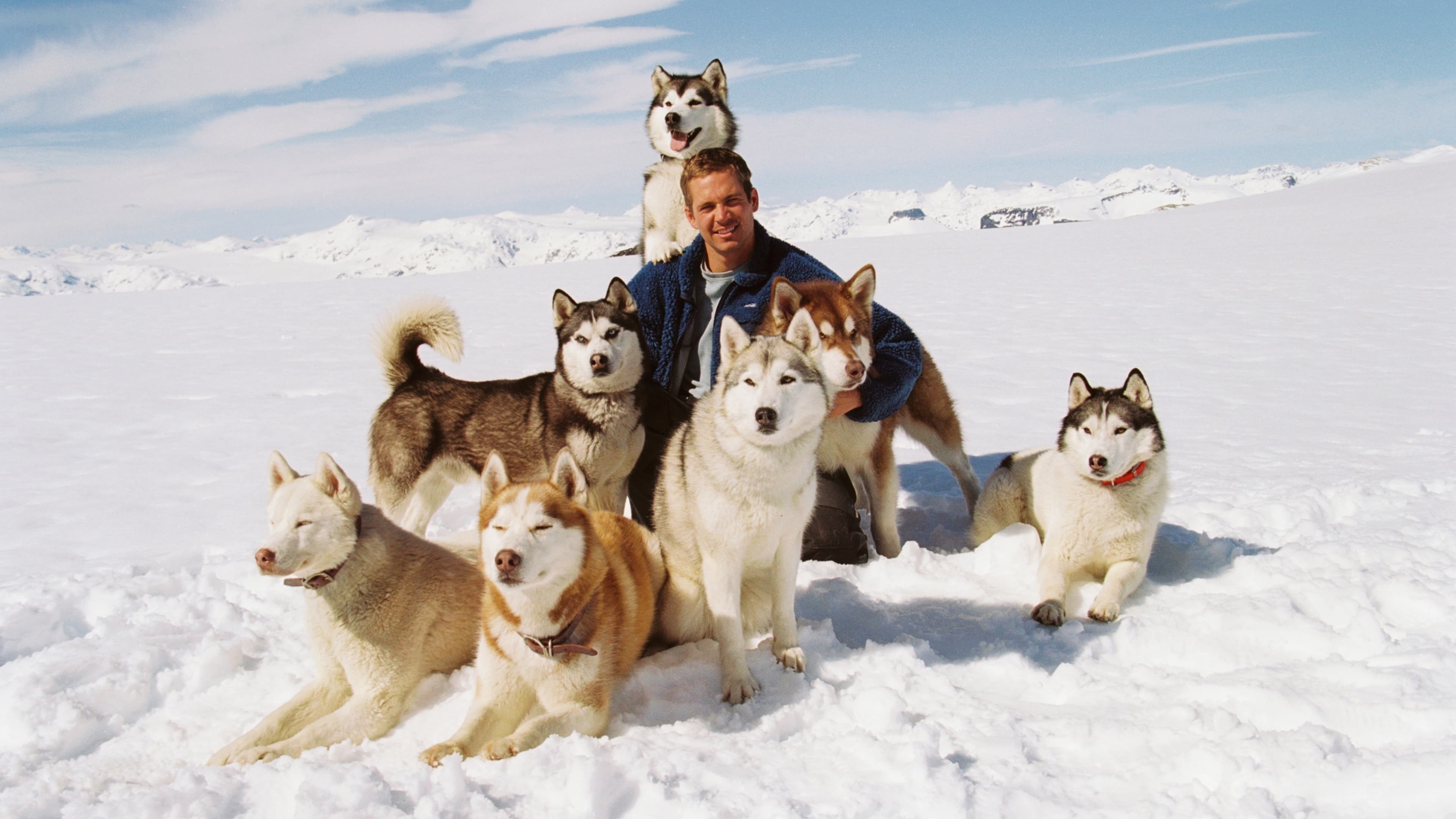 Eight Below Poster