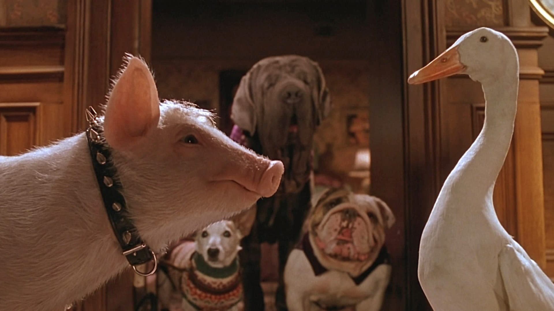 Babe: Pig in the City Poster