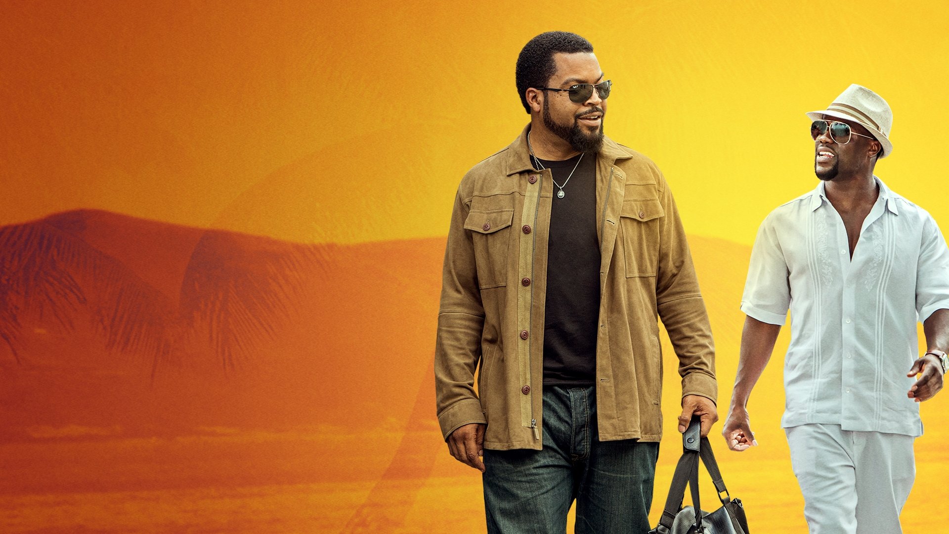 Ride Along 2 Poster
