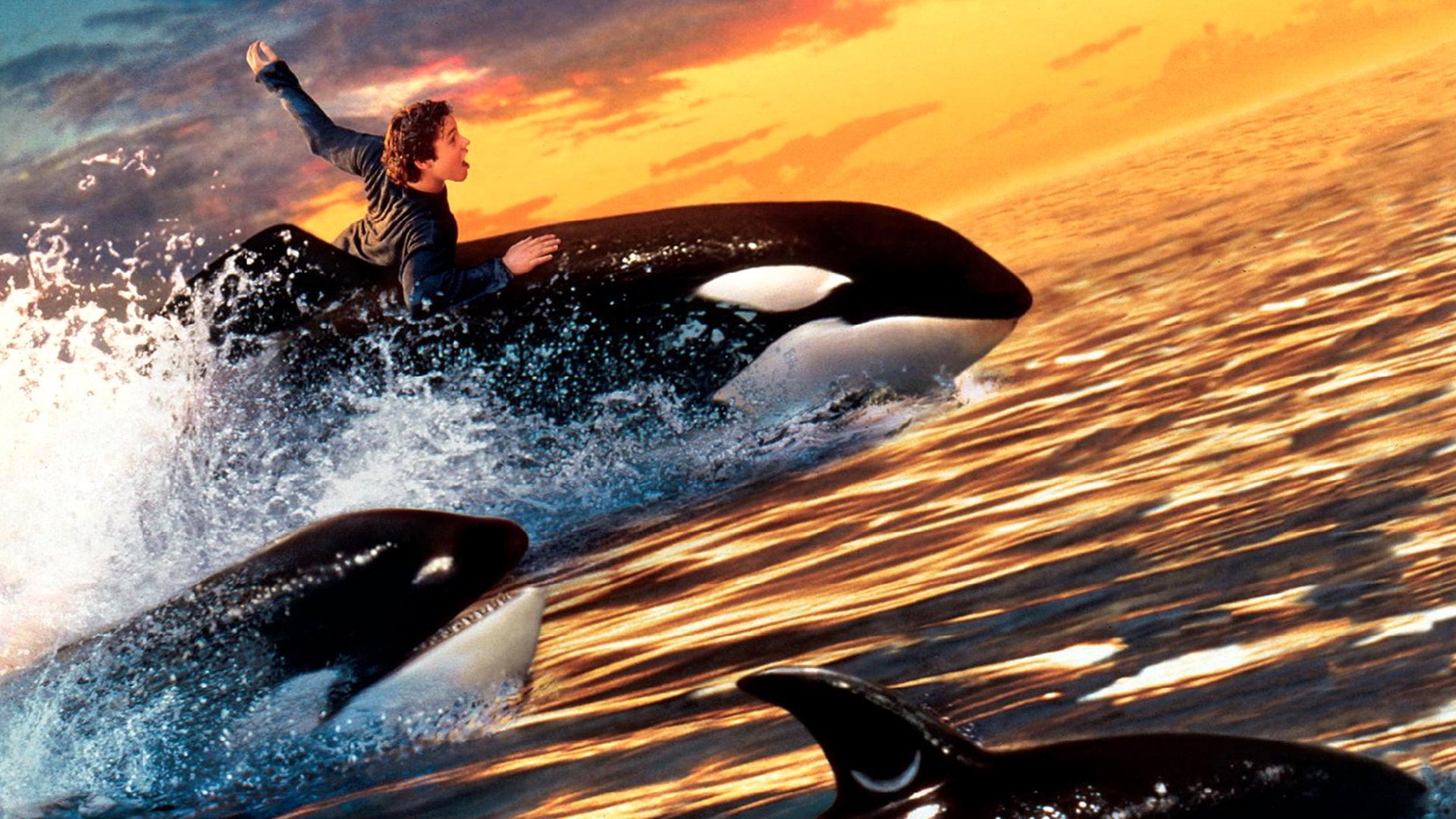 Free Willy 2: The Adventure Home Poster