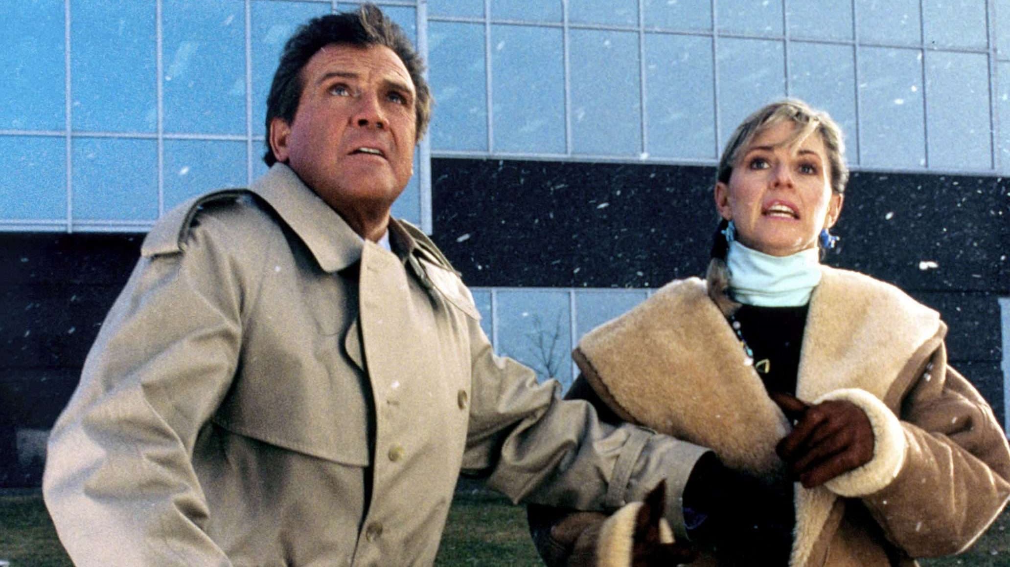 The Return of the Six-Million-Dollar Man and the Bionic Woman Poster