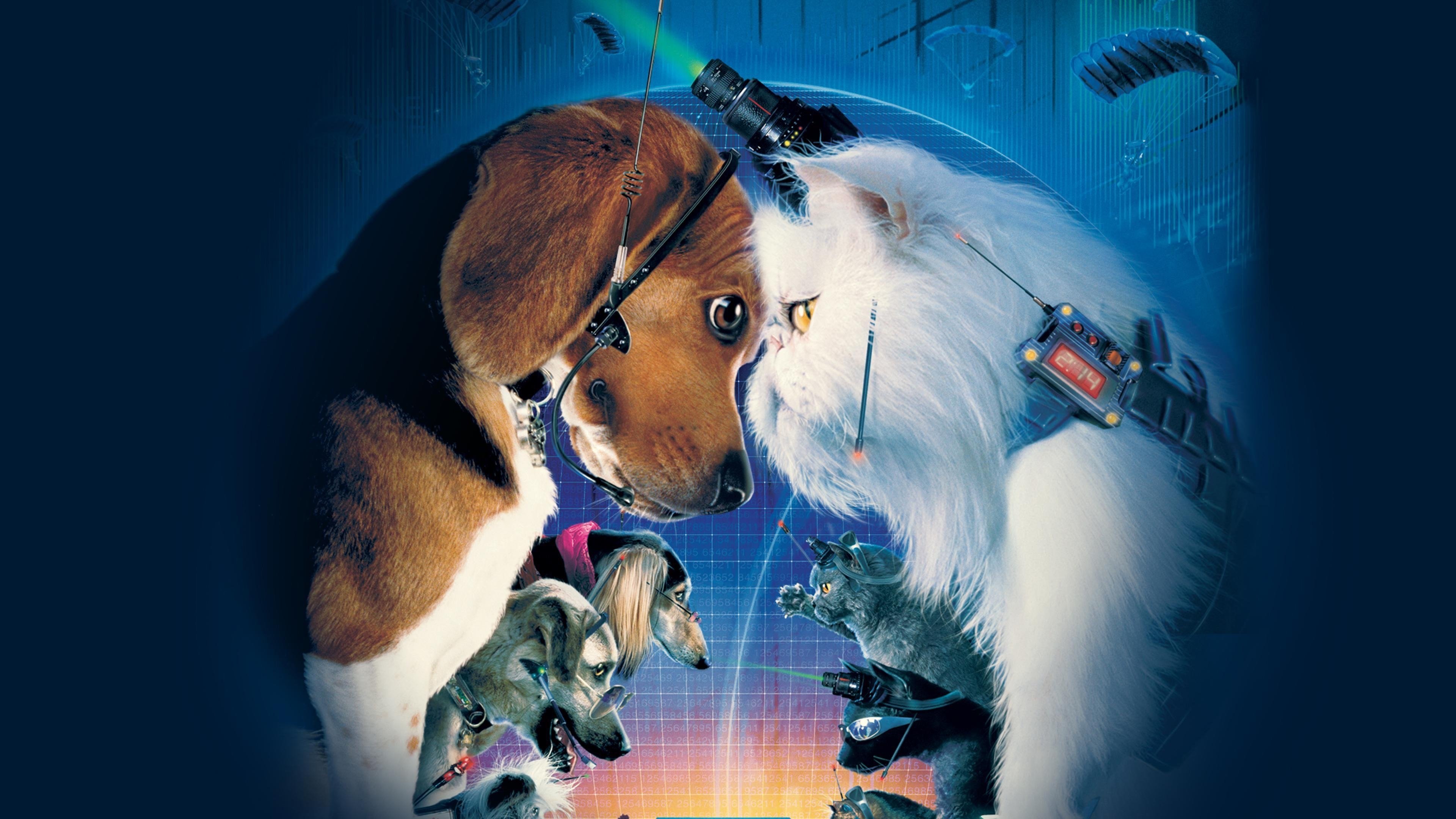 Cats & Dogs Poster