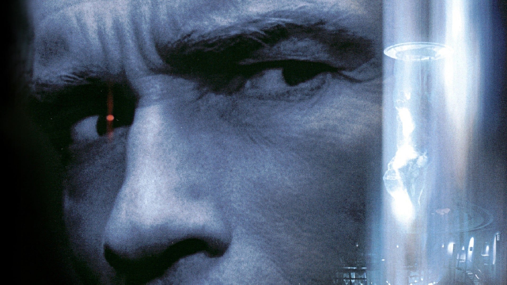 The 6th Day Poster