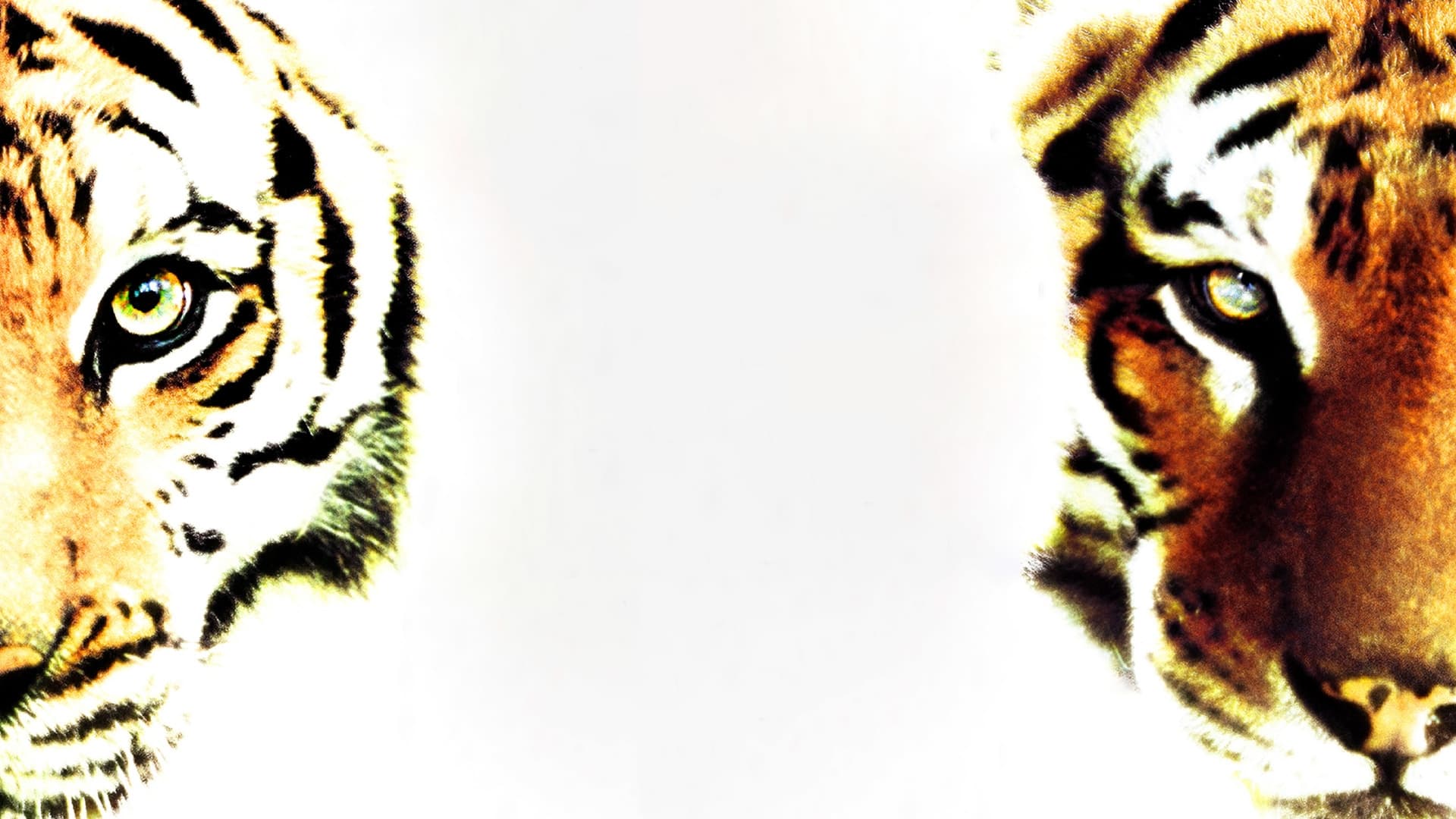Two Brothers Poster