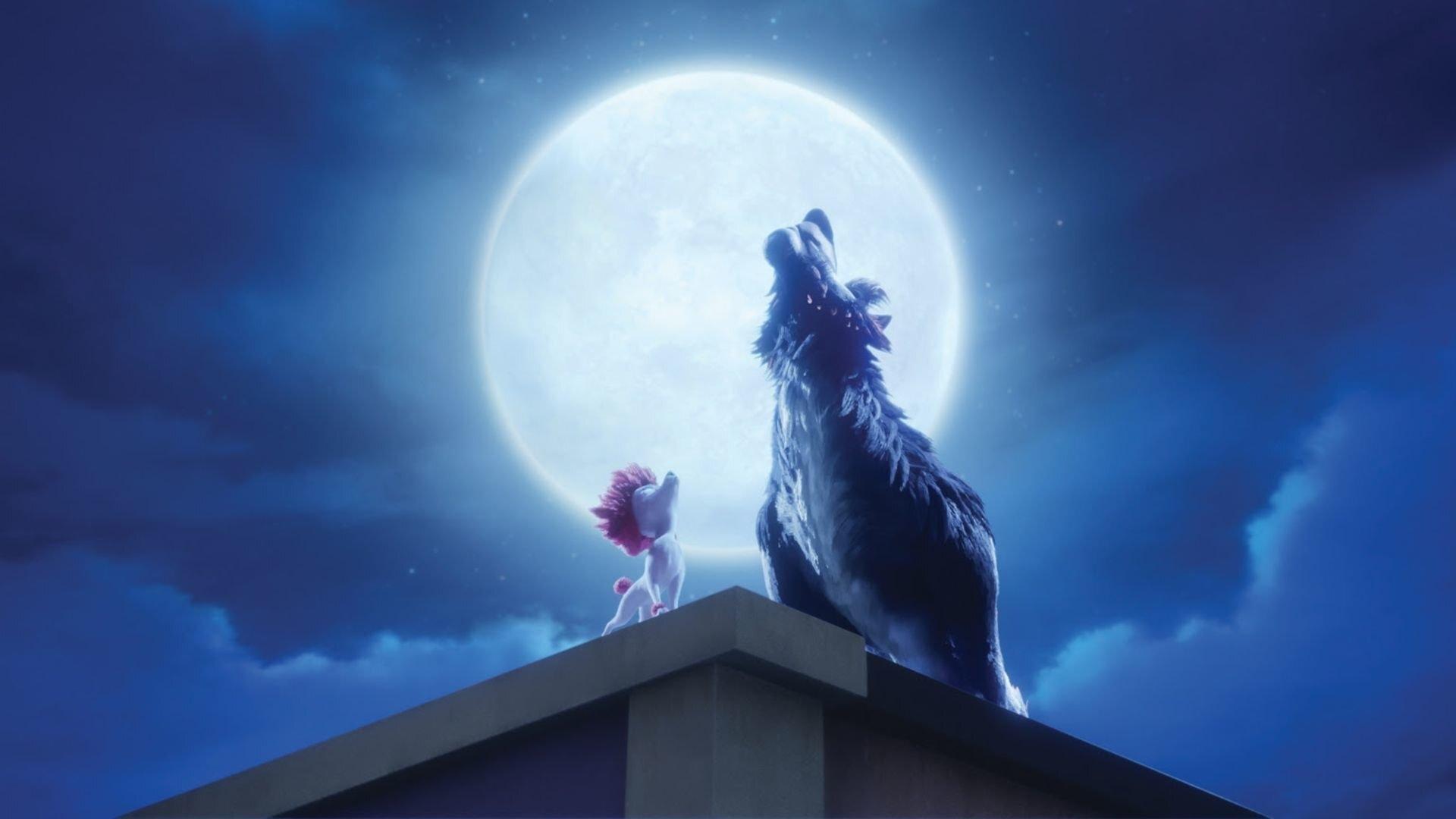 100% Wolf Poster