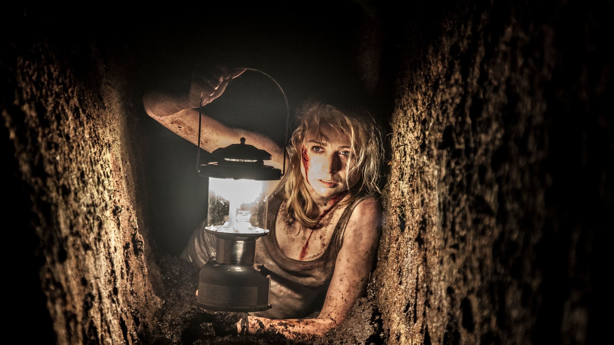 From the Dark Poster