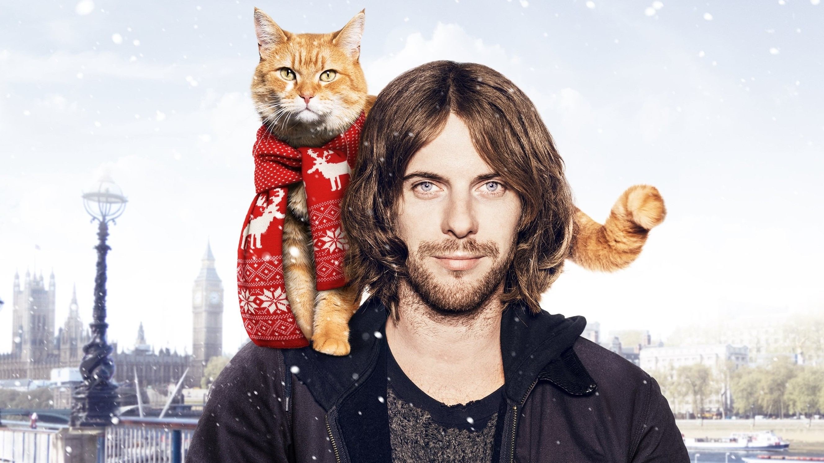 A Street Cat Named Bob Poster