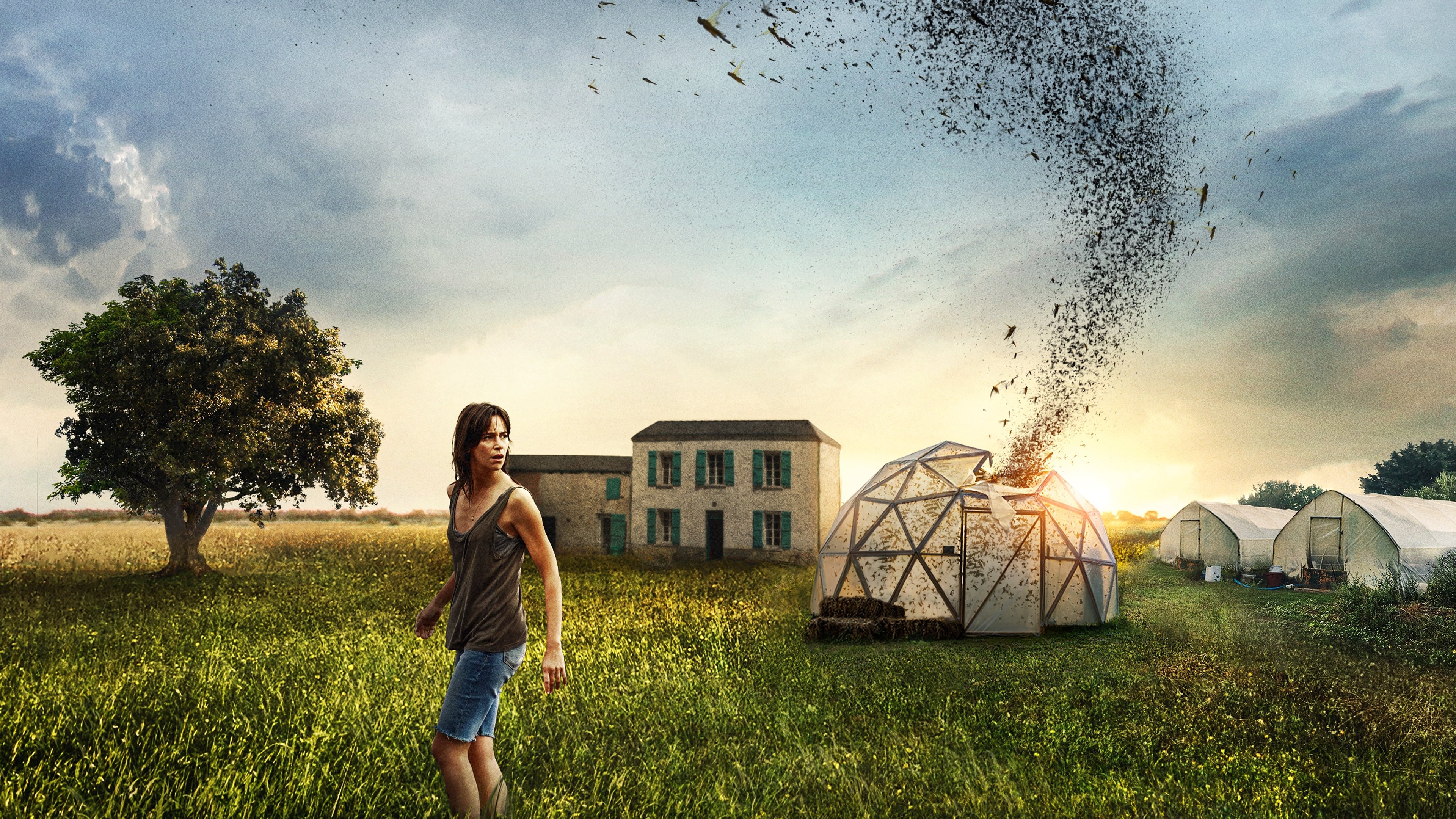 The Swarm Poster