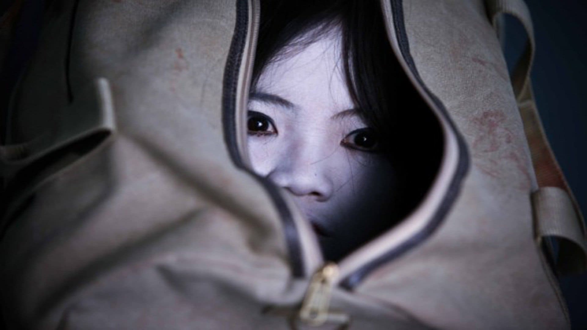 Ju-on: White Ghost Poster