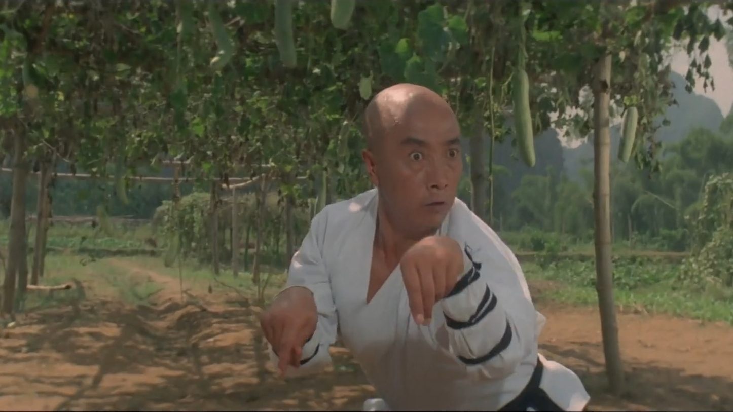 Martial Arts of Shaolin Poster