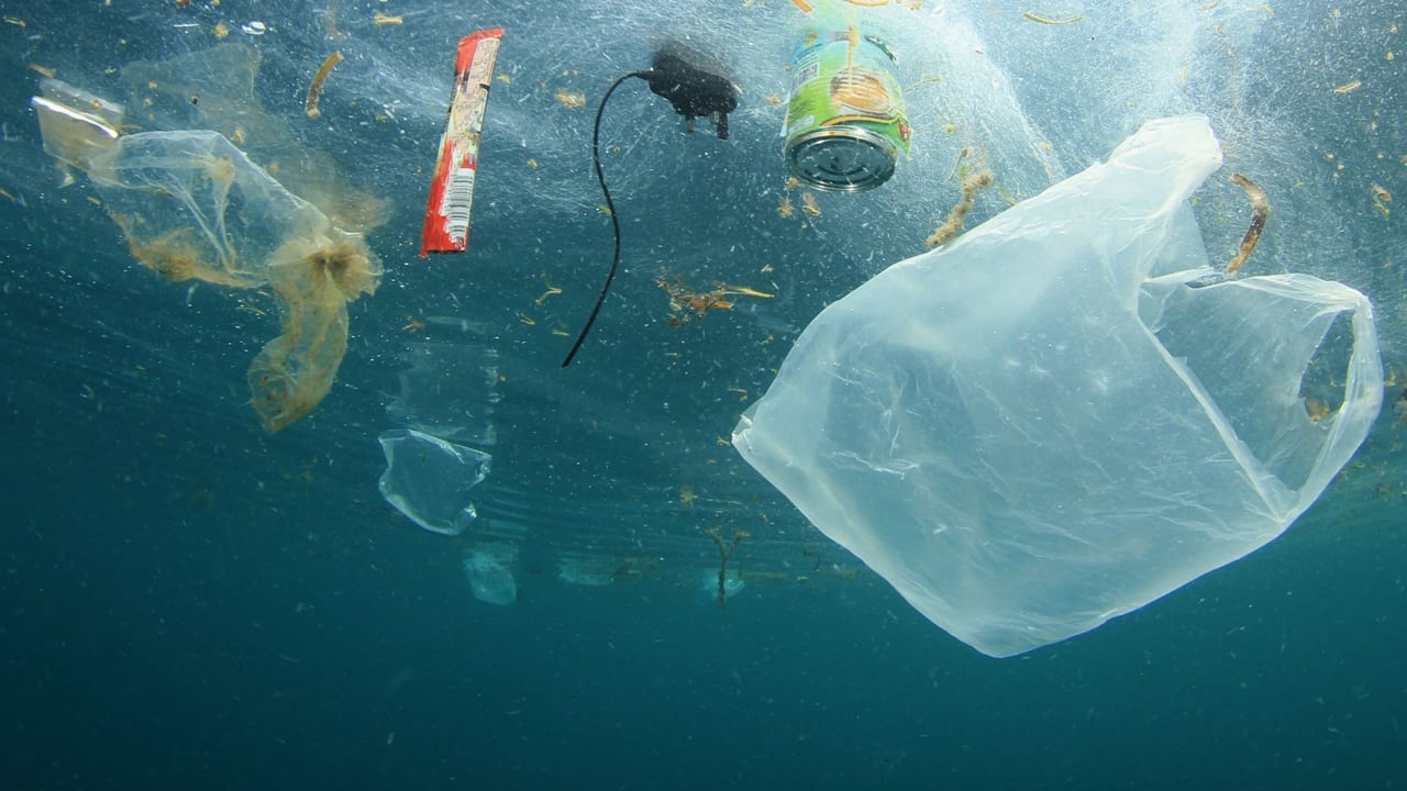 A Plastic Ocean Poster
