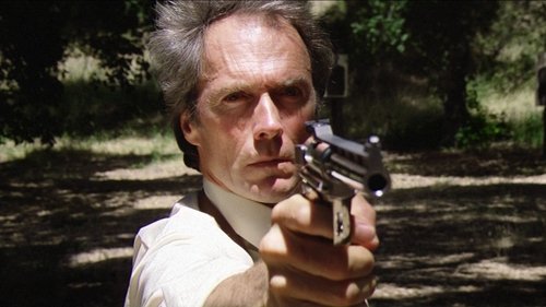 Sudden Impact Poster