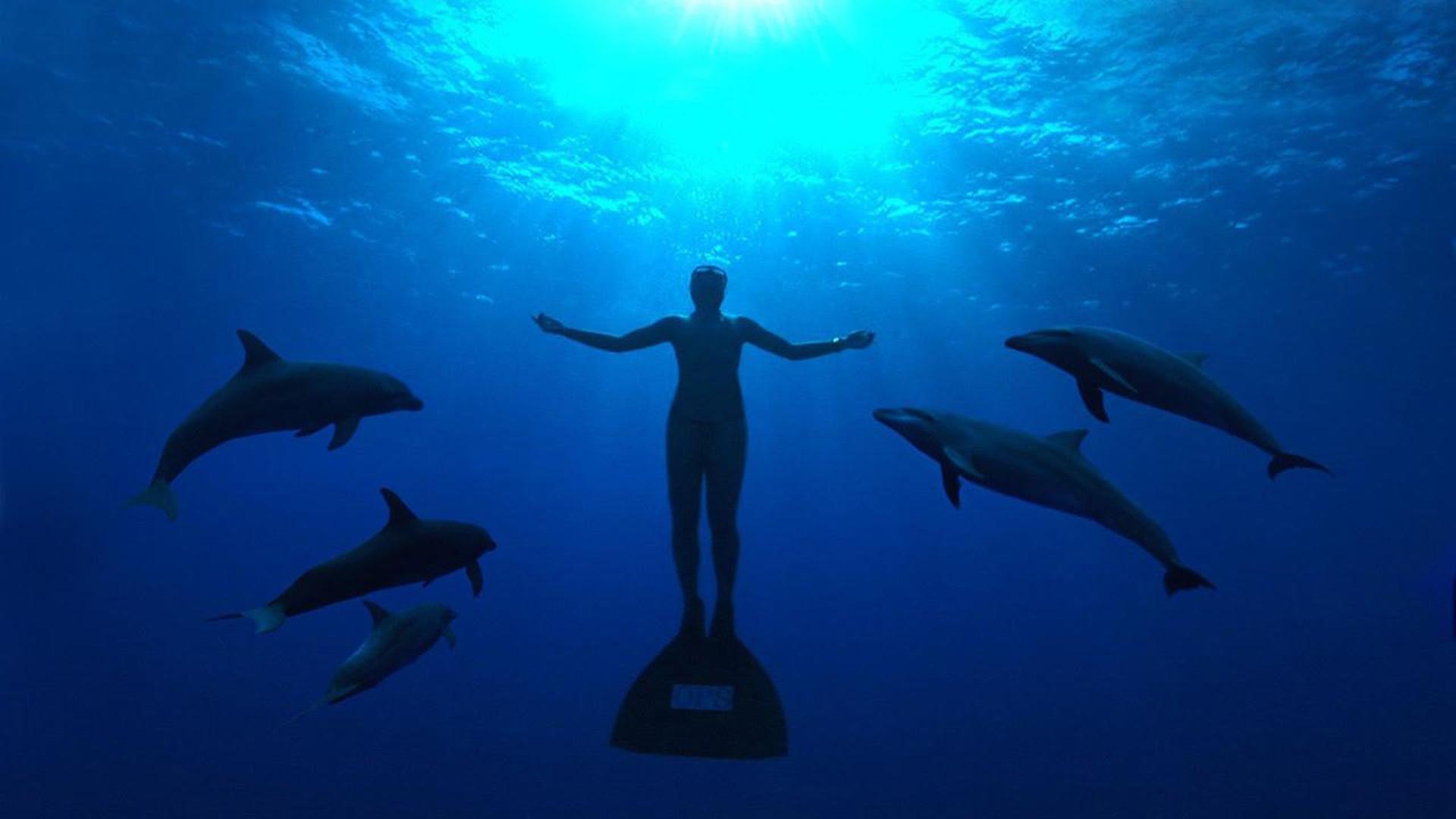 The Cove Poster