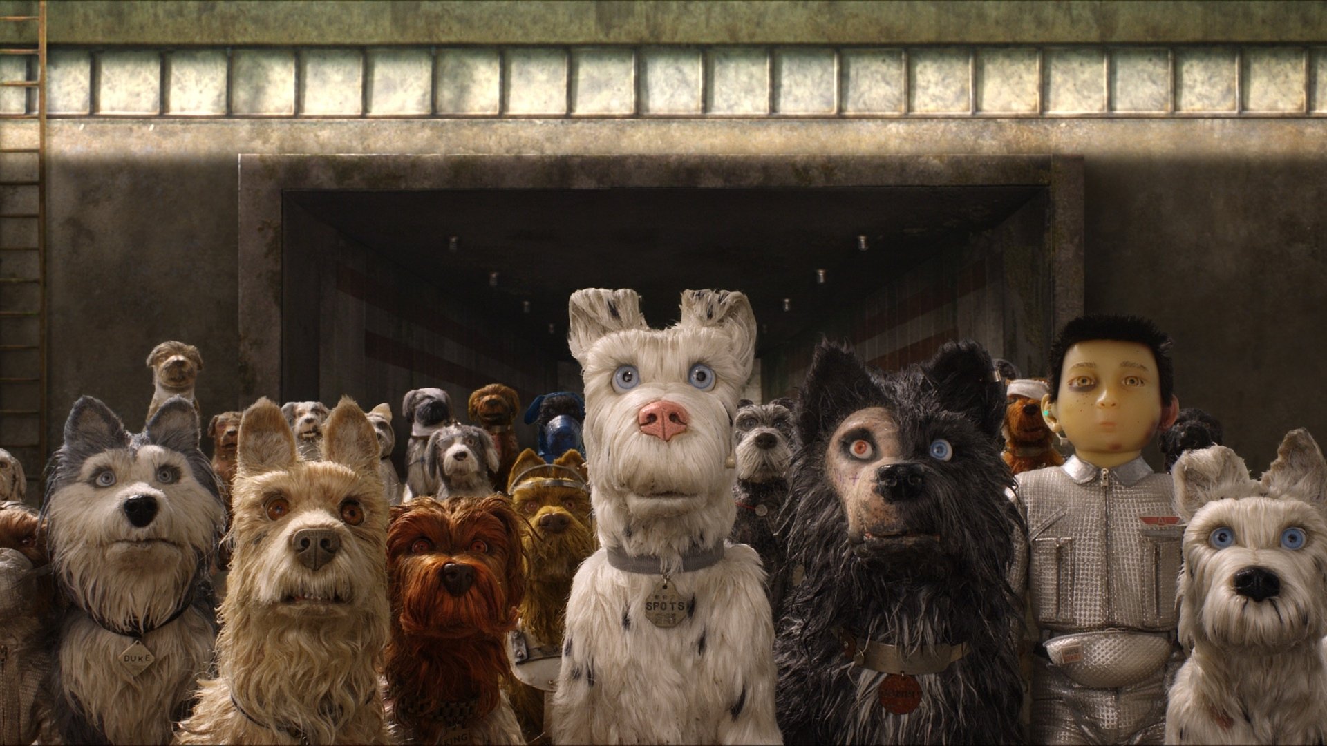 Isle of Dogs Poster