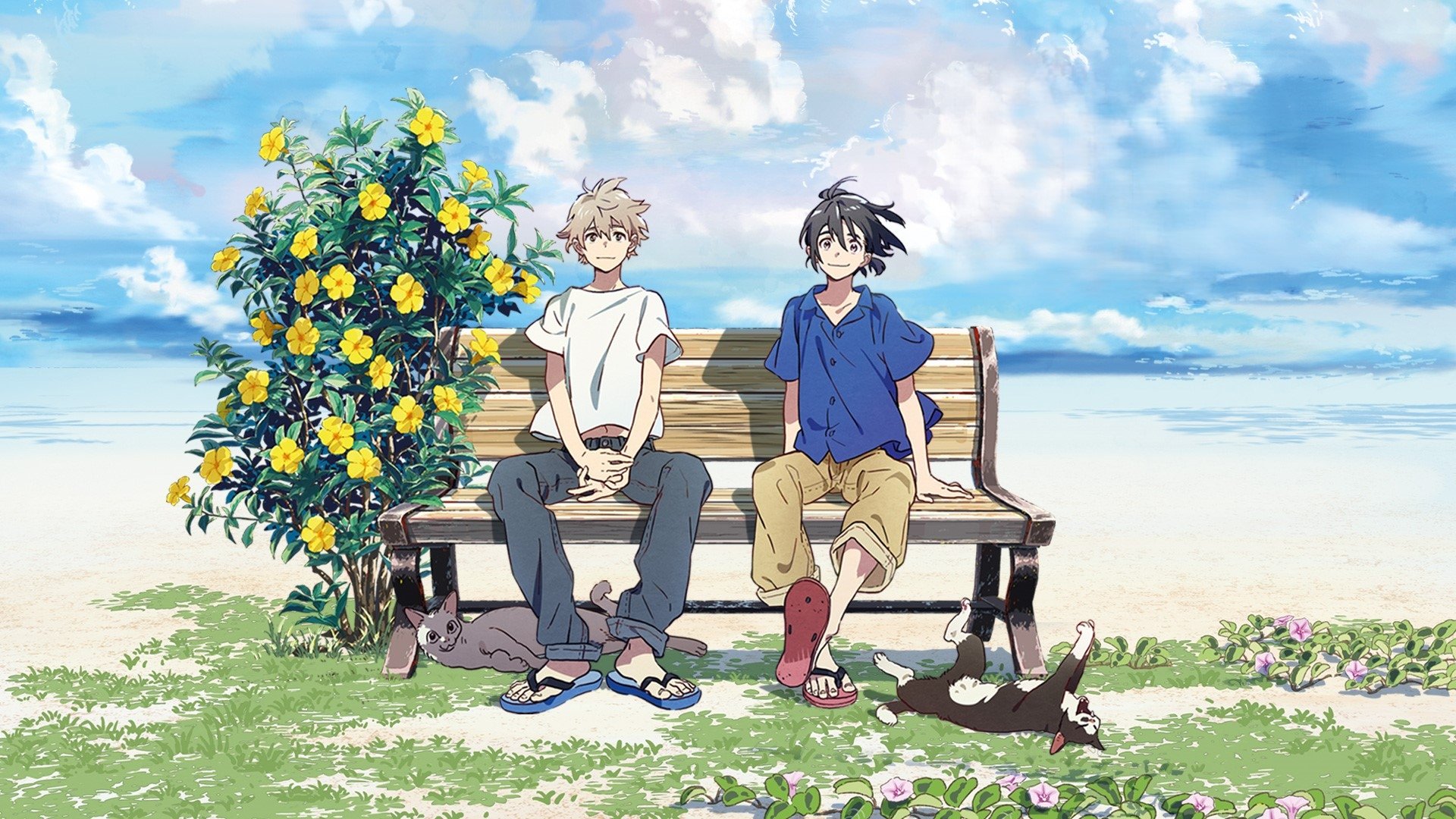 The Stranger by the Beach Poster