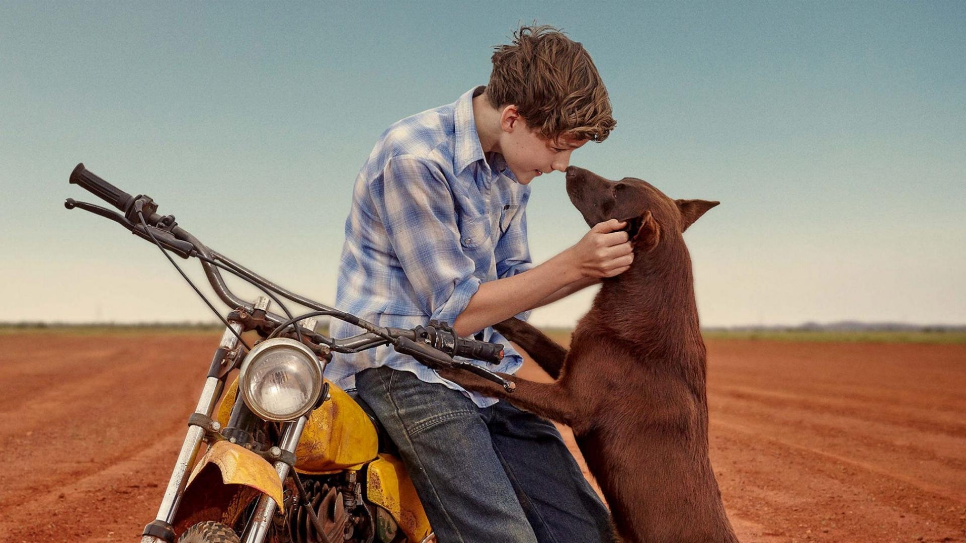 Red Dog: True Blue Poster