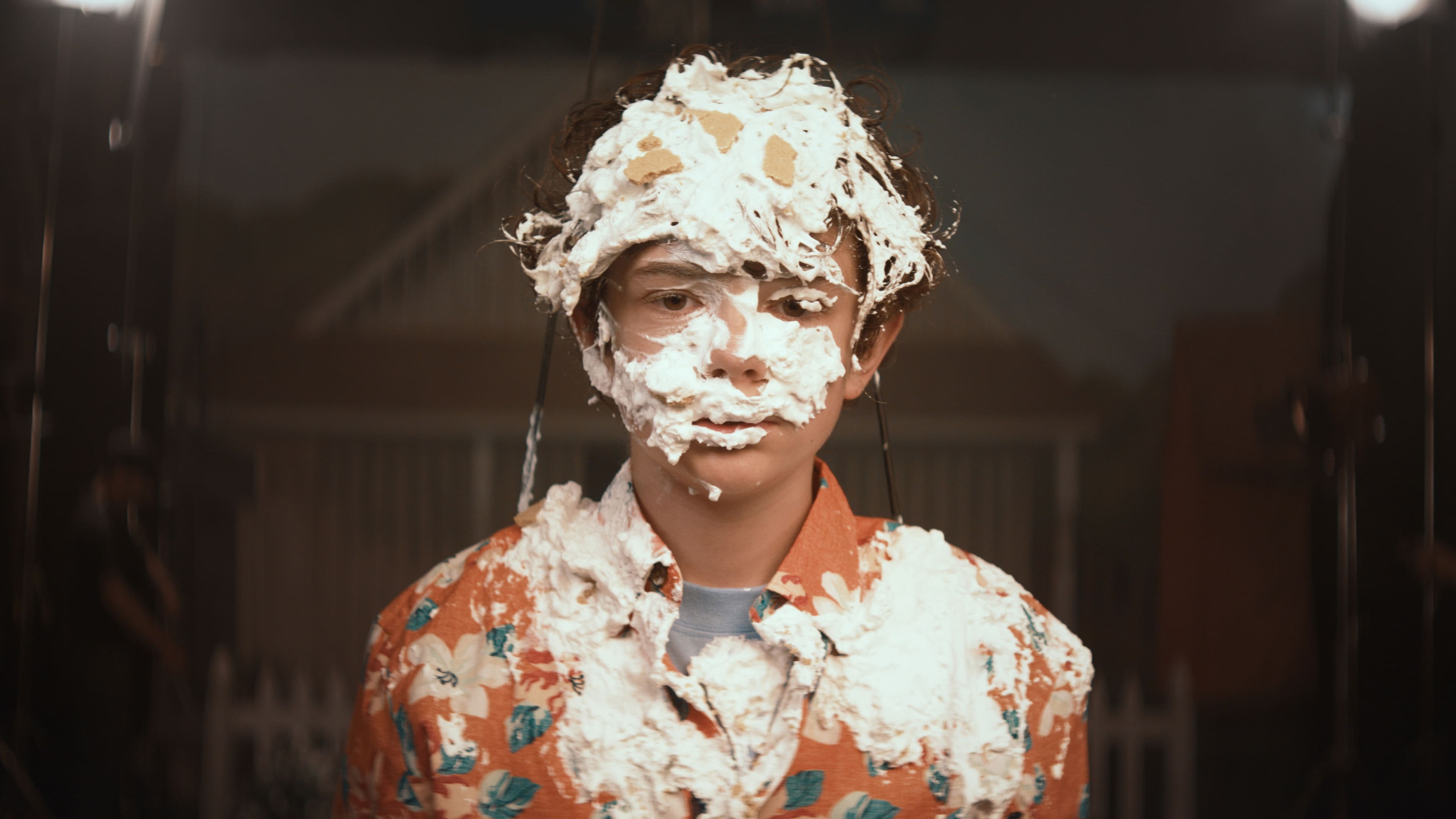 Honey Boy Poster